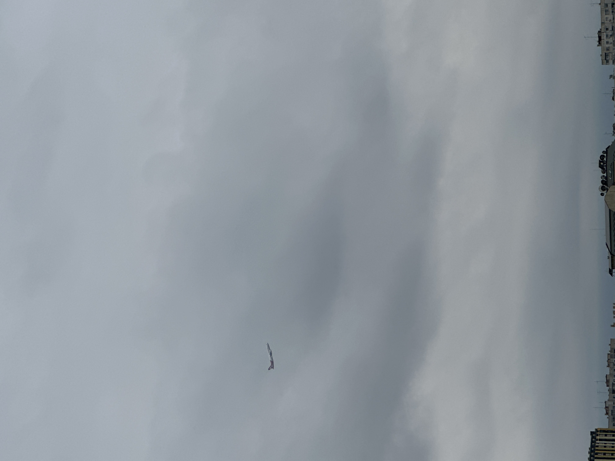 The image depicts a grayish, overcast sky over the city of Sofia, Bulgaria. Buildings are visible on the right edge of the frame. In the lower left quadrant of the image, a small, indistinct object that may be an aircraft or bird is visible against the gray sky.