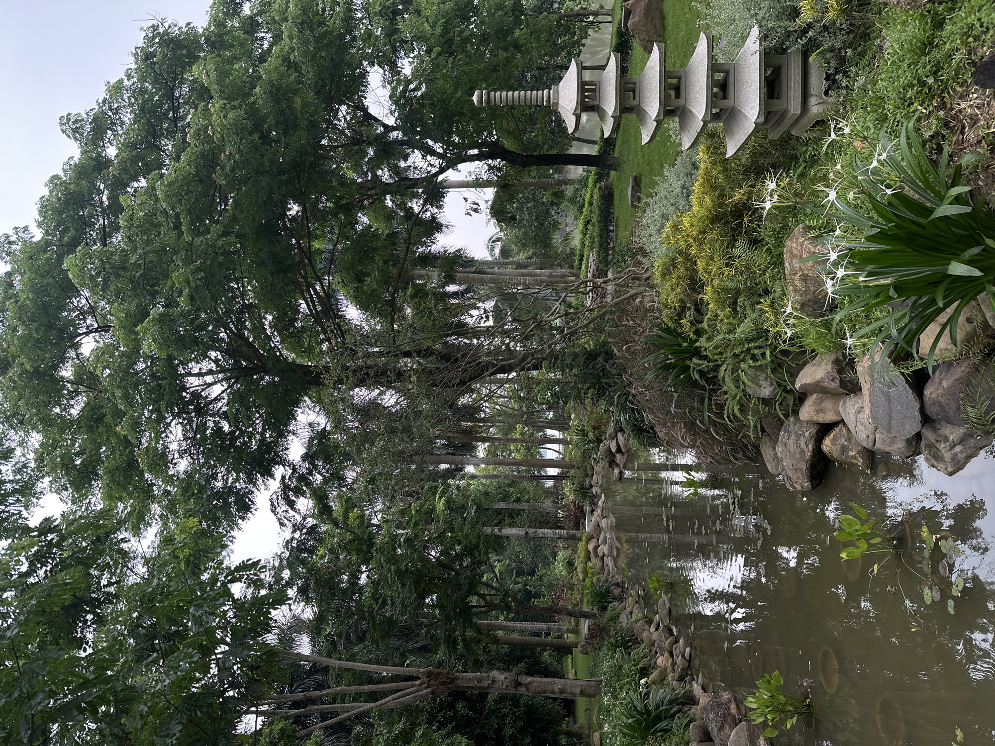 The image depicts a tranquil garden scene in Phụng Công Commune, Vietnam. In the foreground, a narrow, still body of water meanders, bordered by smooth, grey rocks and lush green vegetation. Several small, buoyant green plants with broad leaves float on the water's surface, along with lily pads. To the right of the water, a multi-tiered stone pagoda stands prominently on a grassy area. This pagoda is gray, intricately carved with distinct levels and roof-like structures. Surrounding the pagoda and along the water's edge, a variety of plants thrive, including tall, spiky green foliage with delicate white flowers in the immediate foreground and various ferns and shrubs further back.
The middle ground is characterized by a dense arrangement of trees, with slender, tall trunks, some appearing to be palm trees, interspersed with broader-leafed trees. These trees create a canopy of green that dominates the background. The ground beneath the trees is covered in grass and scattered rocks. The overall atmosphere is one of serenity and natural beauty, suggesting a well-maintained park or garden. The sky is overcast, casting a soft, diffused light over the entire scene. There are no people visible in the image.