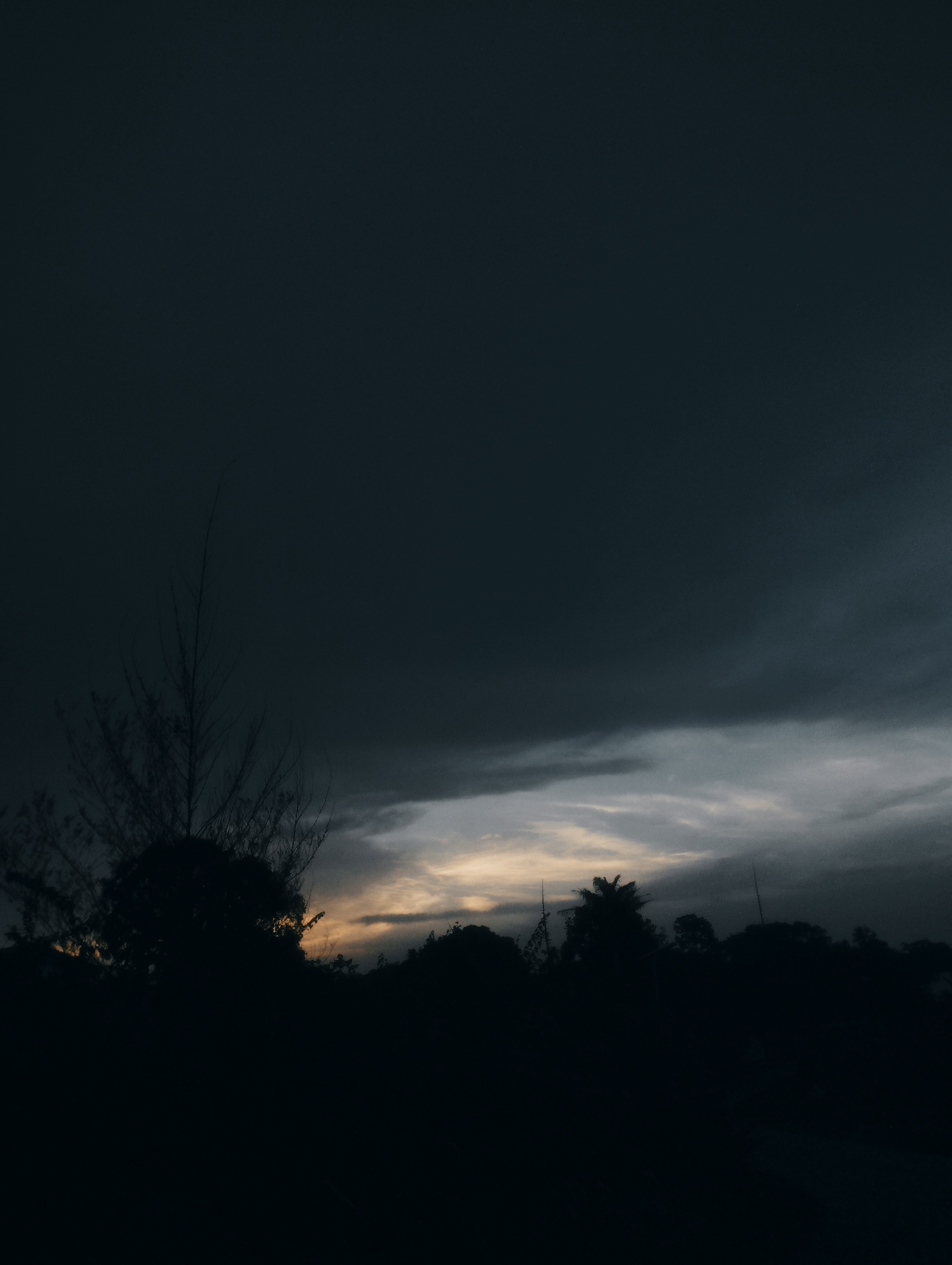 A dark, overcast sky hangs above a silhouetted treeline. The sky is a deep, almost black blue, with streaks of lighter grey and hints of pale yellow and orange breaking through in the distance, suggesting either sunrise or sunset. The treeline is dense and dark, obscuring details of the vegetation below. A single, spindly, leafless tree stands out against the sky on the left side of the frame. The overall impression is one of a moody, perhaps approaching storm, or the fading light of twilight. The image is undated and lacks any specific identifiers of location within Jos, Nigeria.