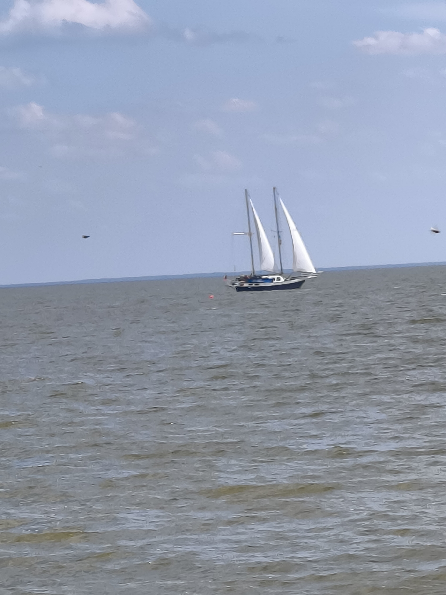 A sailboat with two white sails is sailing on the sea under a partly cloudy sky. The sailboat has a dark blue hull with a white deck and cabin. There are people visible on the deck of the sailboat. The sea is choppy with small waves. In the distance, the shore is visible as a faint blue line. There are two objects that appear to be birds or small aircraft in the sky, one to the left of the sailboat and one to the right. There is also an orange buoy in the water to the right of the sailboat. The image appears to have been taken on a sunny day. The location is the Curonian Lagoon near Nida, Neringa, Lithuania.