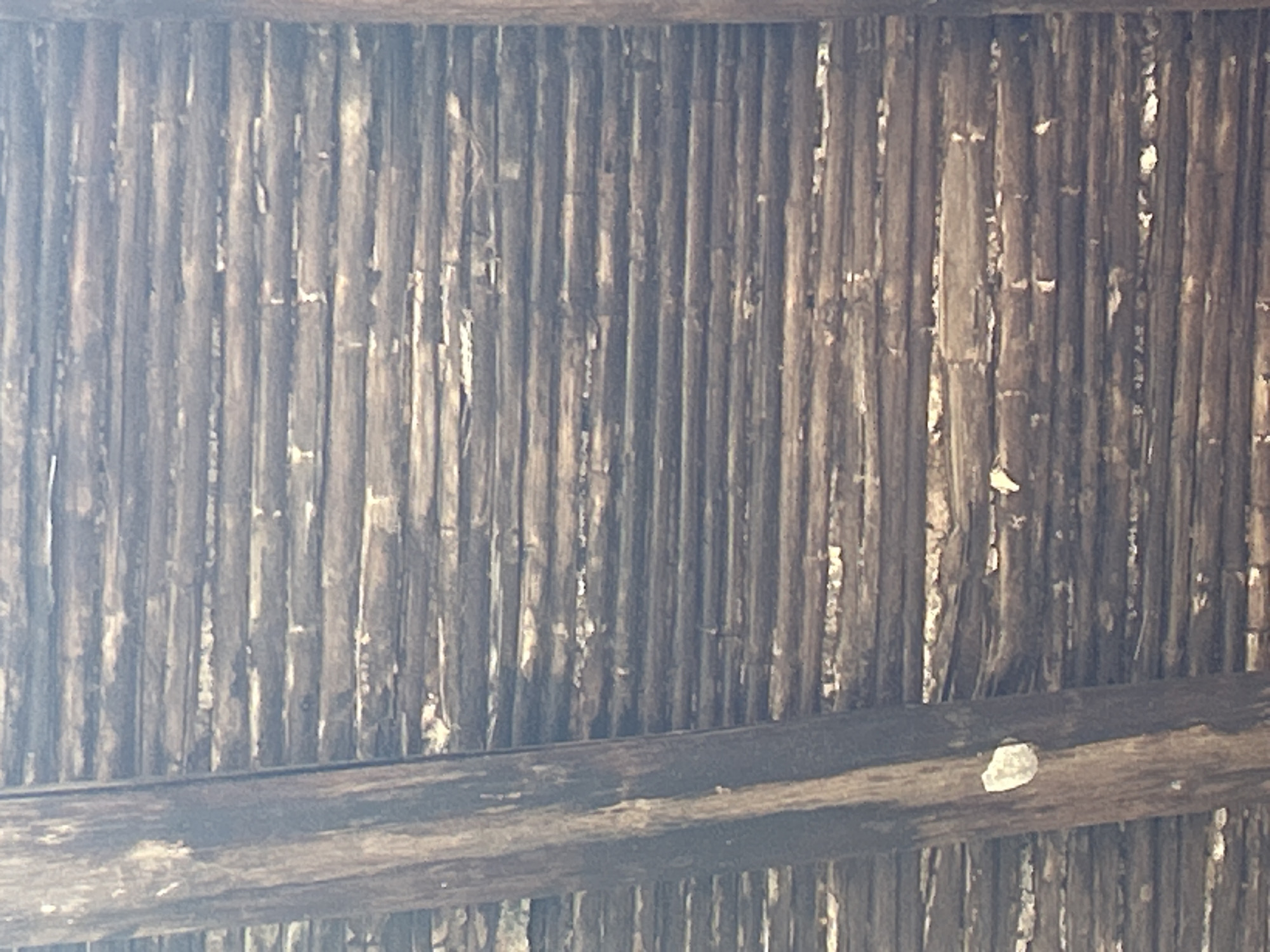 The image shows the underside of a rustic roof constructed from horizontal wooden logs or branches. The logs are closely packed and appear weathered, with some exhibiting peeling bark or lighter colored patches. Two thick, vertical wooden beams are visible on the left and right edges of the frame, supporting the roof structure. The overall impression is one of natural, possibly handmade construction.
The location is Santa Ana, Venezuela. This scene is likely part of a traditional dwelling or an outdoor structure designed with natural materials. There are no people or specific actions depicted. The environment is characterized by the materials of the roof itself.