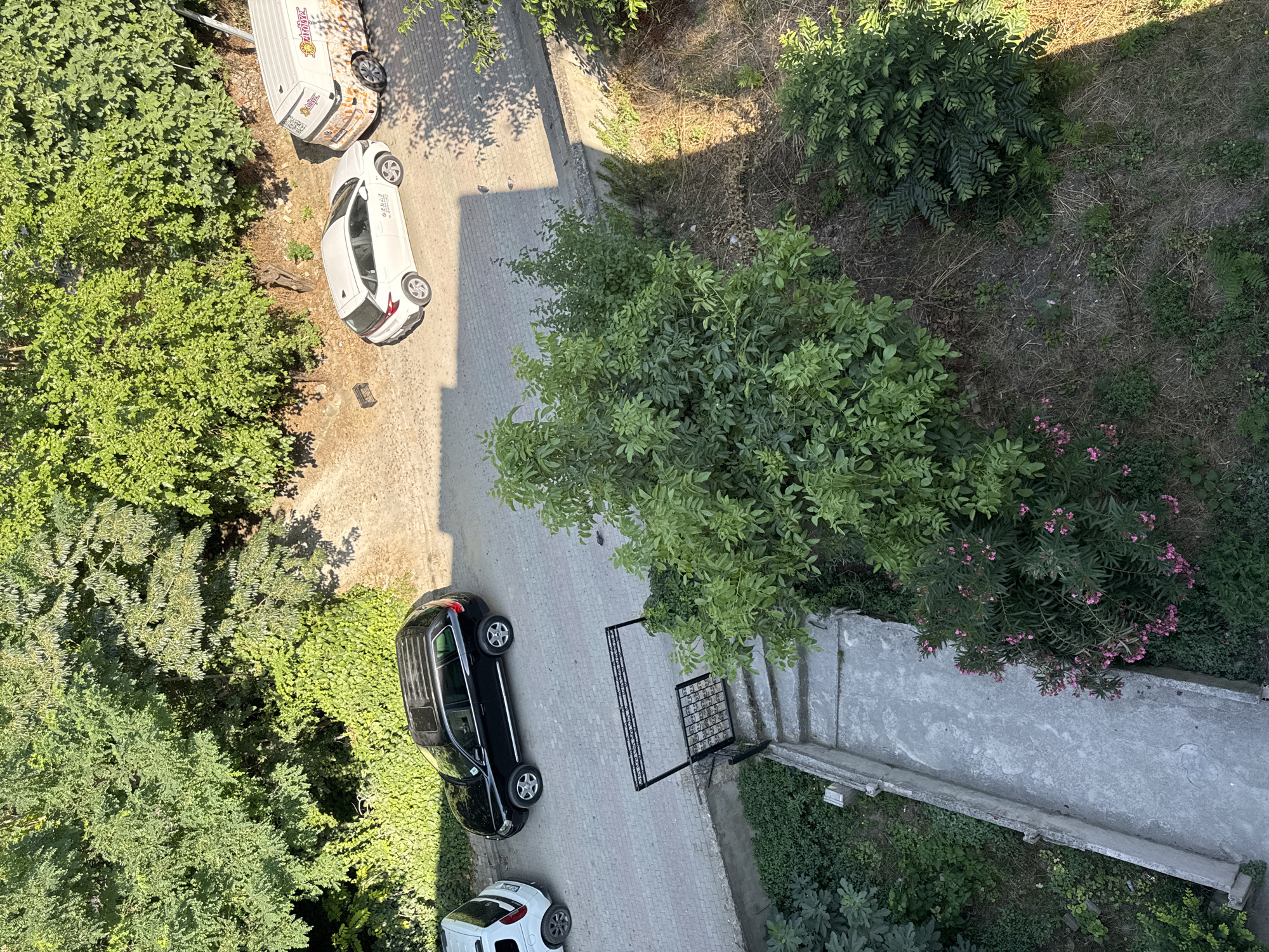 The image depicts an aerial view of an outdoor scene in the city of Gungoren, Turkey, on a sunny day. In the foreground, a concrete pathway with low walls flanks either side, leading towards a set of concrete stairs. A black metal gate with decorative scrollwork stands at the top of the stairs, partially open. Lush green vegetation and some pink-flowering bushes surround the pathway and stairs.
Further back, a paved road is visible with three parked vehicles. Closest to the foreground on the paved road is a black SUV. To its right, a white hatchback car is parked. Further to the right, a white van with colorful graphics, possibly advertising a food service, is parked. The background is dominated by dense green trees, casting shadows on the ground and vehicles. The overall impression is a residential area with ample greenery.