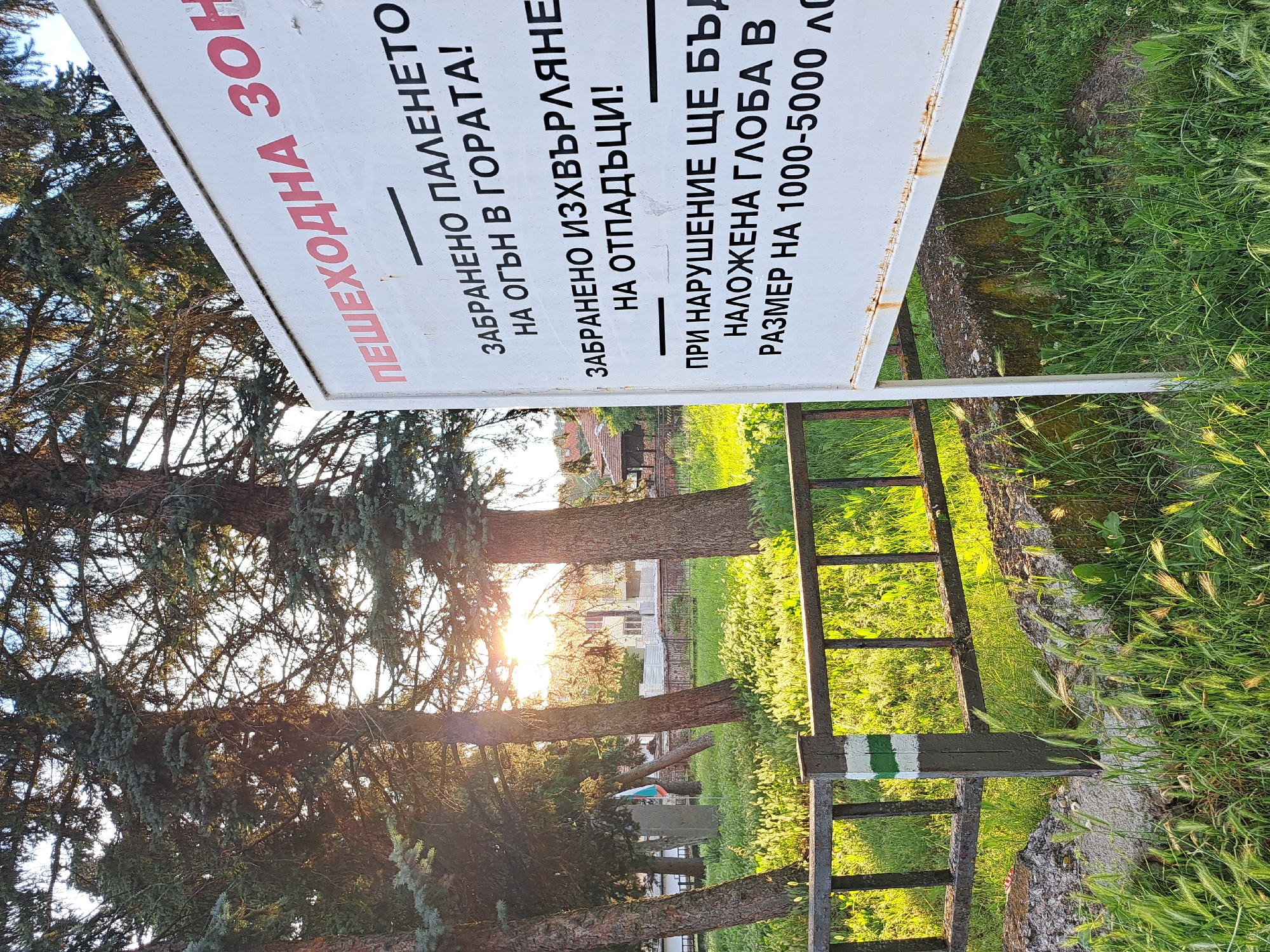 The image depicts a sign in Bulgarian placed outdoors, likely in a park or natural area, given the presence of trees, grass, and a wooden fence. The sign is white with red and black lettering. The red text at the top reads "ПЕШЕХОДНА ЗОН" which translates to "PEDESTRIAN ZONE". Below this, black text details regulations: "ЗАБРАНЕНО ПАЛЕНЕТО НА ОГЪН В ГОРАТА!" translates to "FORBIDDEN TO LIGHT FIRE IN THE FOREST!". The next line states "ЗАБРАНЕНО ИЗХВЪРЛЯНЕ НА ОТПАДЪЦИ!" which means "FORBIDDEN TO DISPOSE OF WASTE!". The final section reads "ПРИ НАРУШЕНИЕ ЩЕ БЪДЕ НАЛОЖЕНА ГЛОБА В РАЗМЕР НА 1000-5000 ЛЕВА" meaning "UPON VIOLATION A FINE OF 1000-5000 LEVA WILL BE IMPOSED". The environment is sunny with tall trees casting shadows. The foreground features lush green grass and the aforementioned fence, with a small marker on one of the fence posts. In the background, houses and more trees are visible. The overall scene suggests a public recreational area where rules are being communicated to visitors.