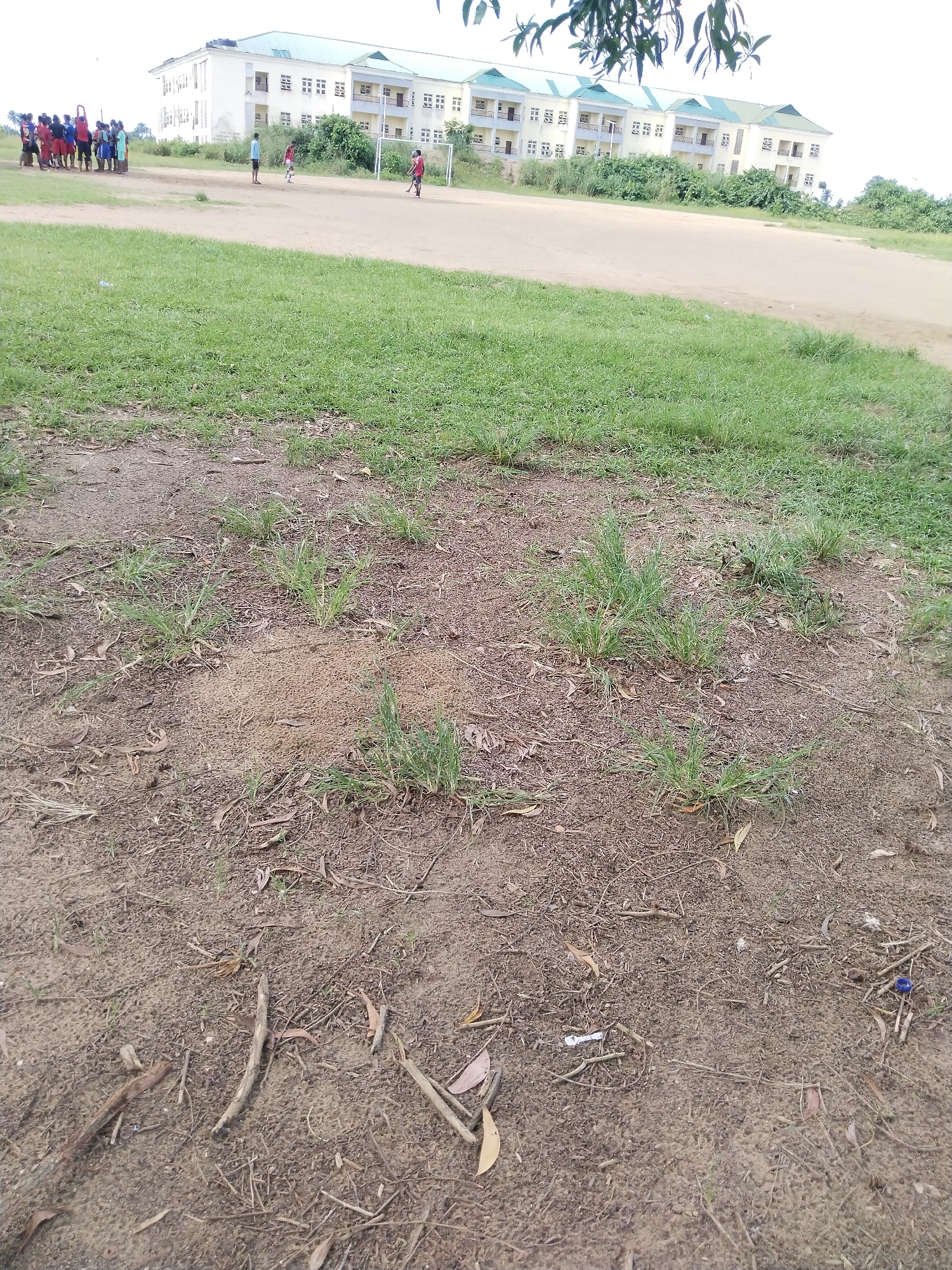 The image shows a partially grassy field in Uyo, Nigeria. In the foreground, the ground is mostly bare, with scattered dry leaves and twigs. Some patches of sparse green grass are visible. Further back, there is denser green grass covering a larger area of the field. In the middle distance, a dirt track or playing field is visible with a group of people congregated on the left side. Two other individuals are seen on the field further away, one appearing to kick or hit a ball toward a goalpost with a net. A large, light-colored building with a green roof sits in the background. Tree branches are visible in the upper right corner of the image.