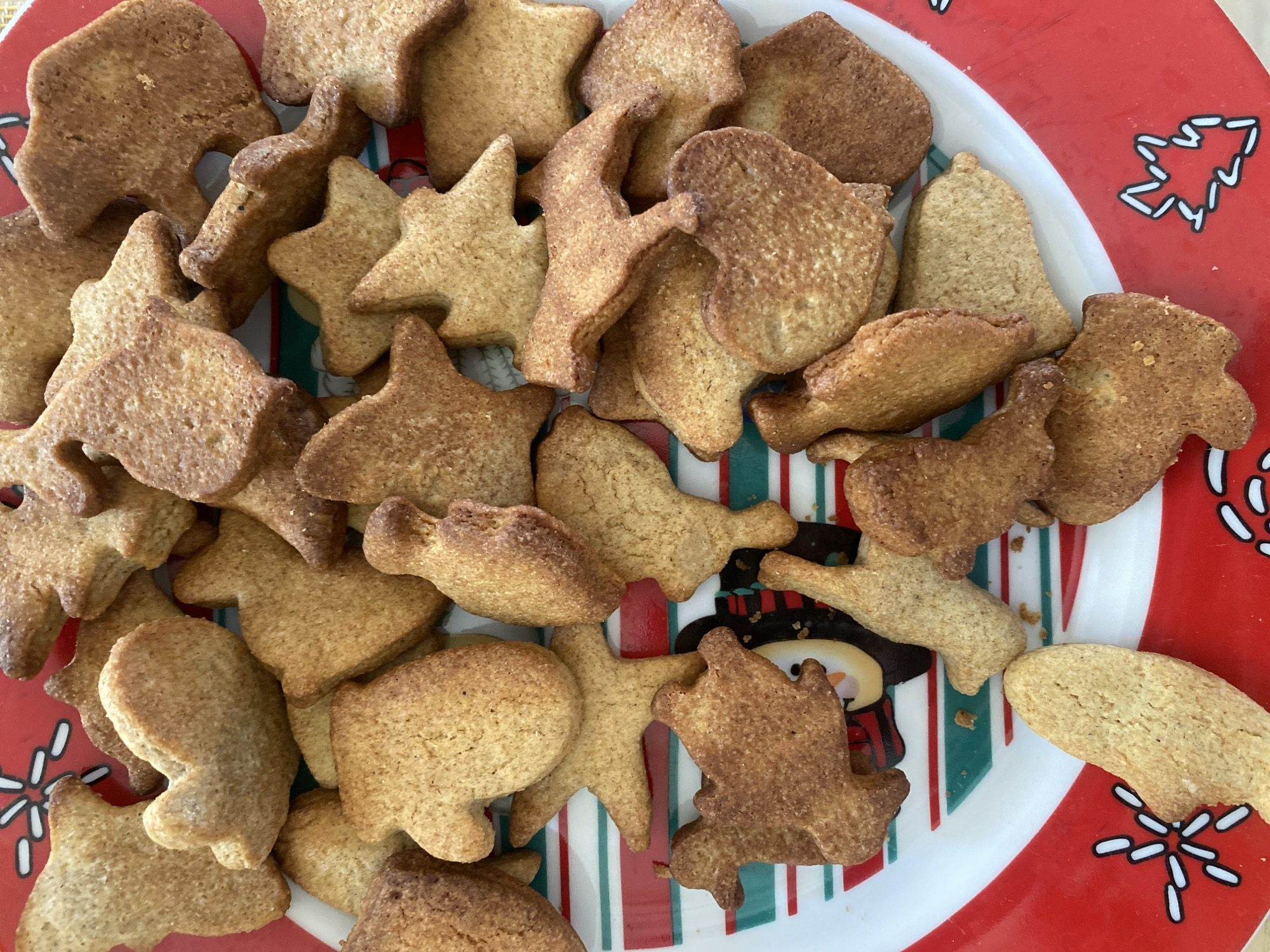 A close-up, overhead shot shows a pile of various shaped Christmas-themed cookies on a plate. The cookies are golden brown and appear to be homemade gingerbread or sugar cookies. Shapes include stars, mittens, animals like dogs and birds, and potentially others. The plate itself has a red rim with white snowflake-like designs and horizontal red, green, and white stripes. Some of the cookies are slightly chipped or broken, indicating they may have been handled. The lighting suggests an indoor setting, possibly a kitchen or dining area. The image does not contain any elements that would place it specifically in the city of Volzhsk, Russia, or any other identifiable location.