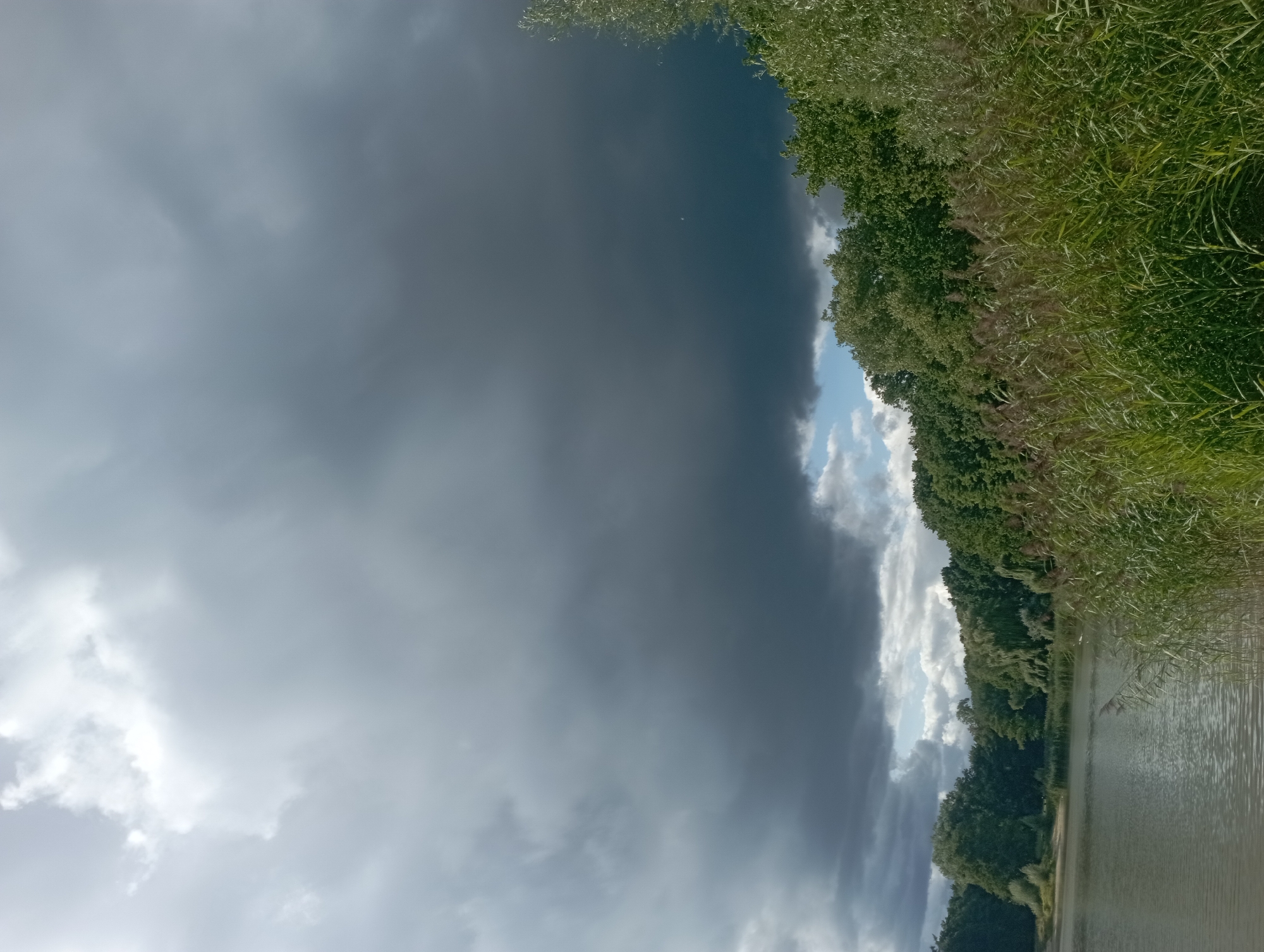 The image depicts a natural scene at a lake in Szczecin, Poland. The sky is heavily overcast with dark, ominous clouds dominating the upper portion of the frame, suggesting an approaching storm. Below the dramatic sky, a dense line of green trees borders the far bank of a calm lake. In the foreground, tall, green reeds grow along the water's edge, some of which appear to be drying out and turning brown. The water of the lake is a muted, grayish-green, reflecting the subdued light from the sky. There are no people or animals visible in the image. The overall atmosphere is one of impending weather change in a tranquil, natural setting.