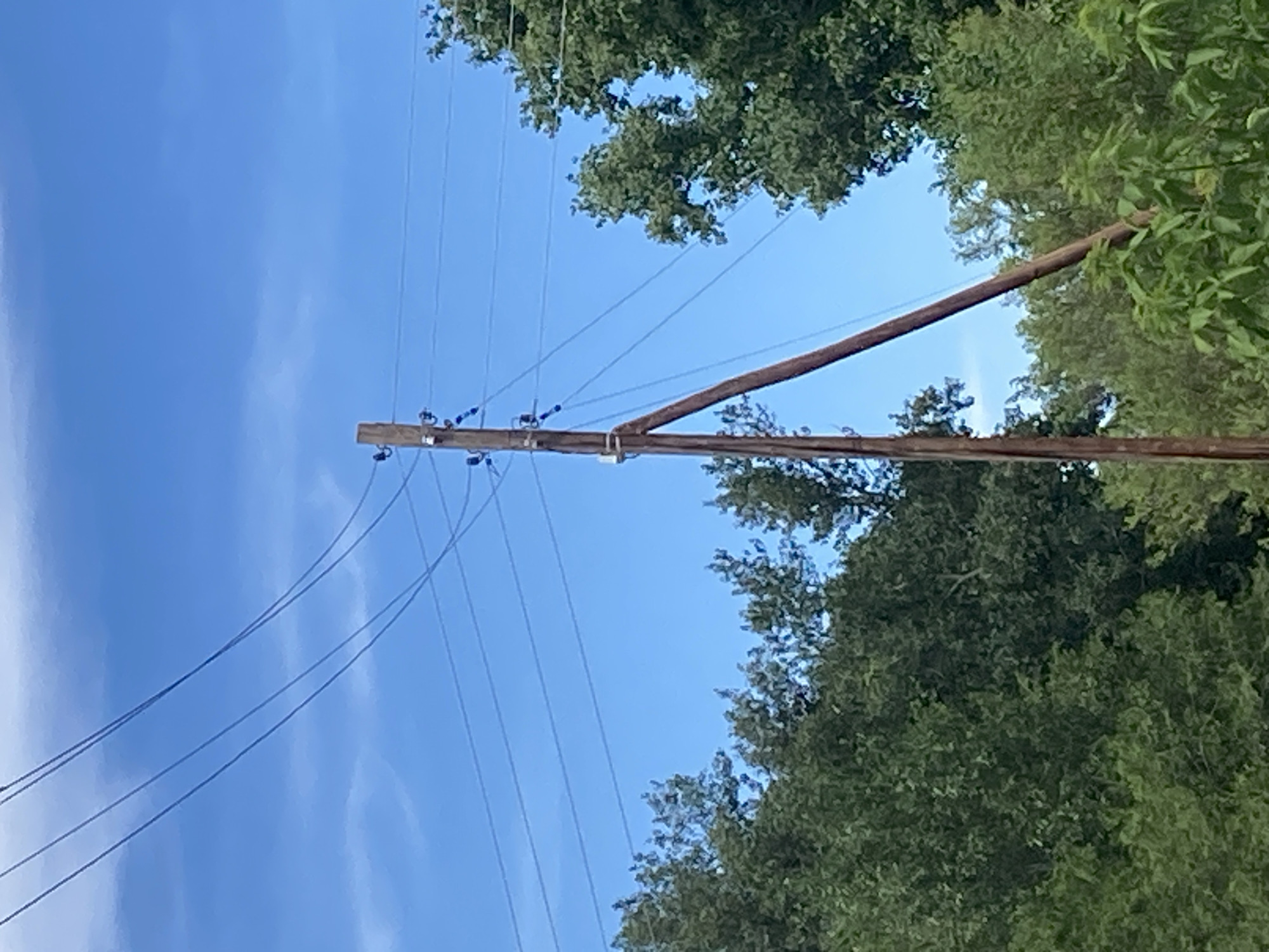 A wooden utility pole stands in a wooded area under a bright blue sky with scattered white clouds. The pole is tilted and supported by a diagonal wooden brace. Several wires are suspended from the top of the pole, extending out of frame. Lush green trees and foliage surround the base of the pole. The scene appears to be outdoors in a rural or suburban setting, possibly in the village of Rakity, Russia, given the context. There are no people or animals visible in the image.