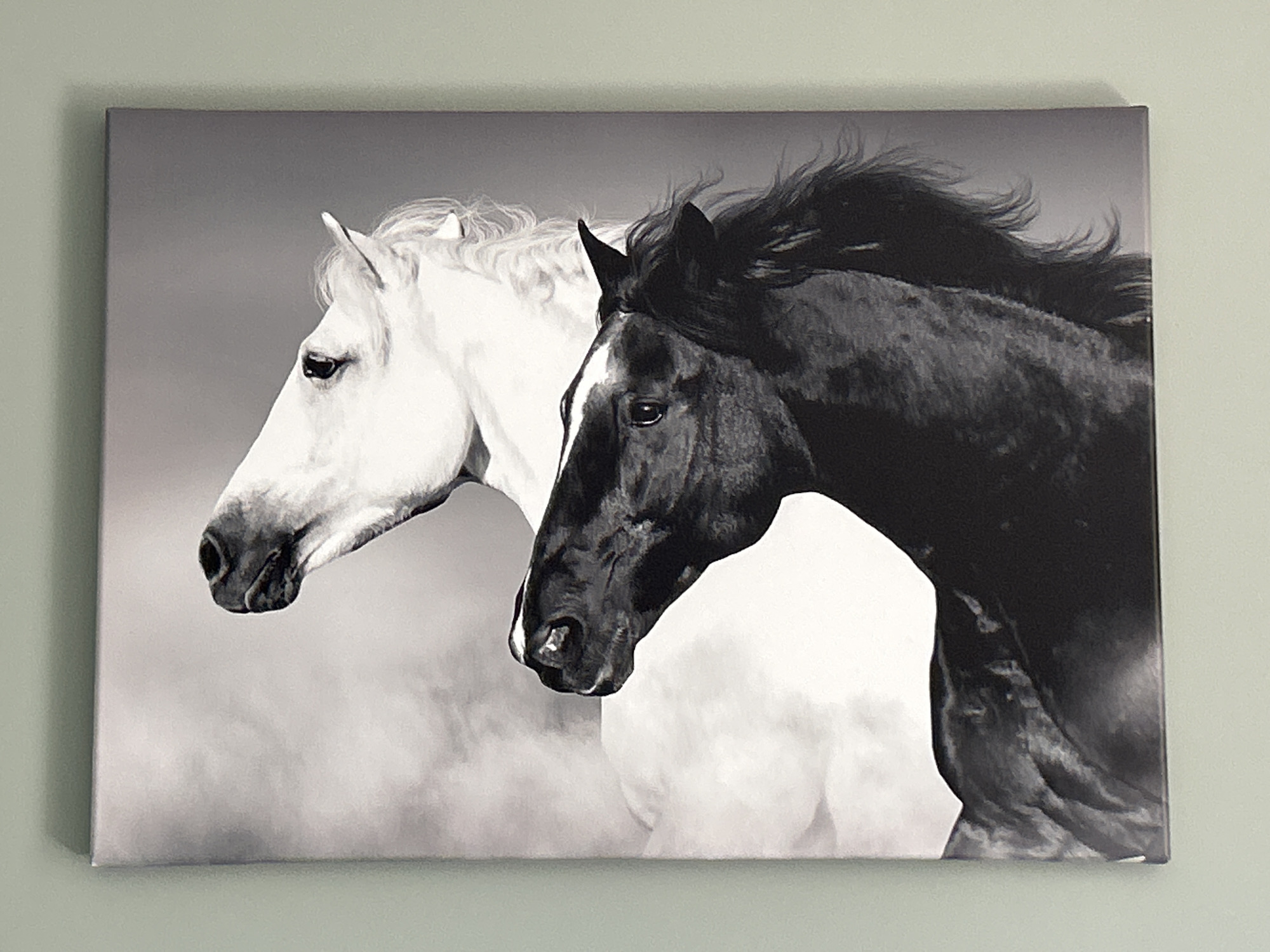 The image is a black and white canvas print of two horses. One horse is white, and the other is black. The print is mounted on a light green wall. The location is not discernible, therefore it is not possible to determine if the image was taken in the city of Sofia, Bulgaria.