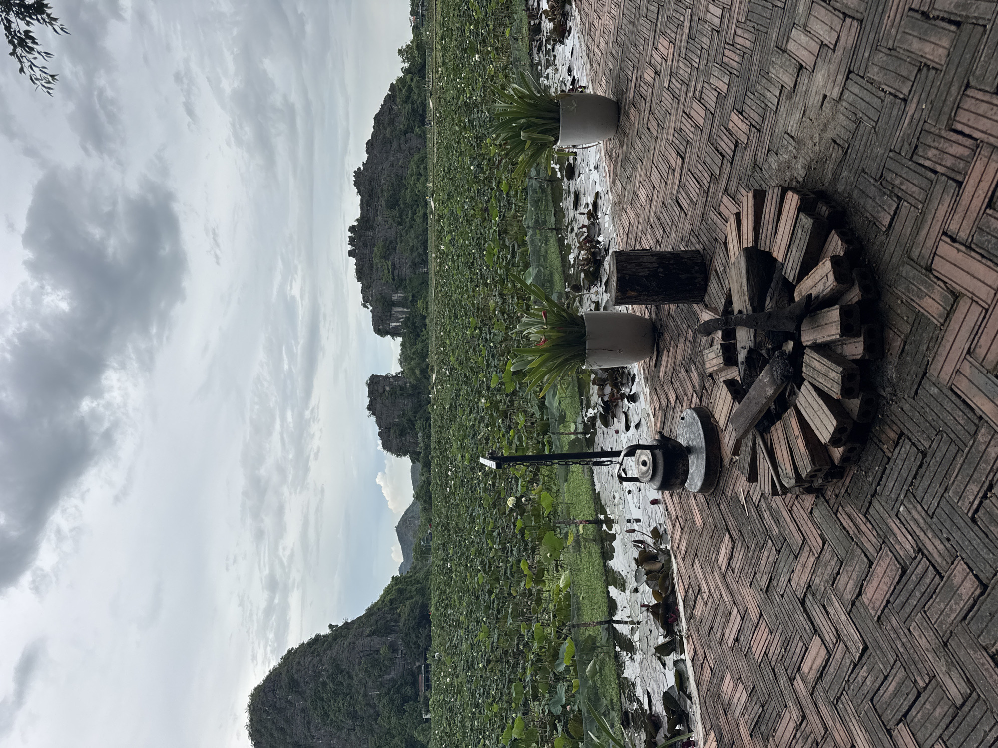 The image depicts a scenic view of a lotus pond in Nam Hoa Lư Ward, Vietnam, with dramatic karst formations in the background. In the foreground, a brick-paved patio features a small circular fire pit filled with logs, a vintage kettle on a stand, and two potted plants. The middle ground is dominated by a vast expanse of lotus plants, their leaves and white blossoms covering the water. The background shows imposing, tree-covered limestone karsts under a cloudy sky. The scene evokes a tranquil, natural setting with elements of outdoor leisure.