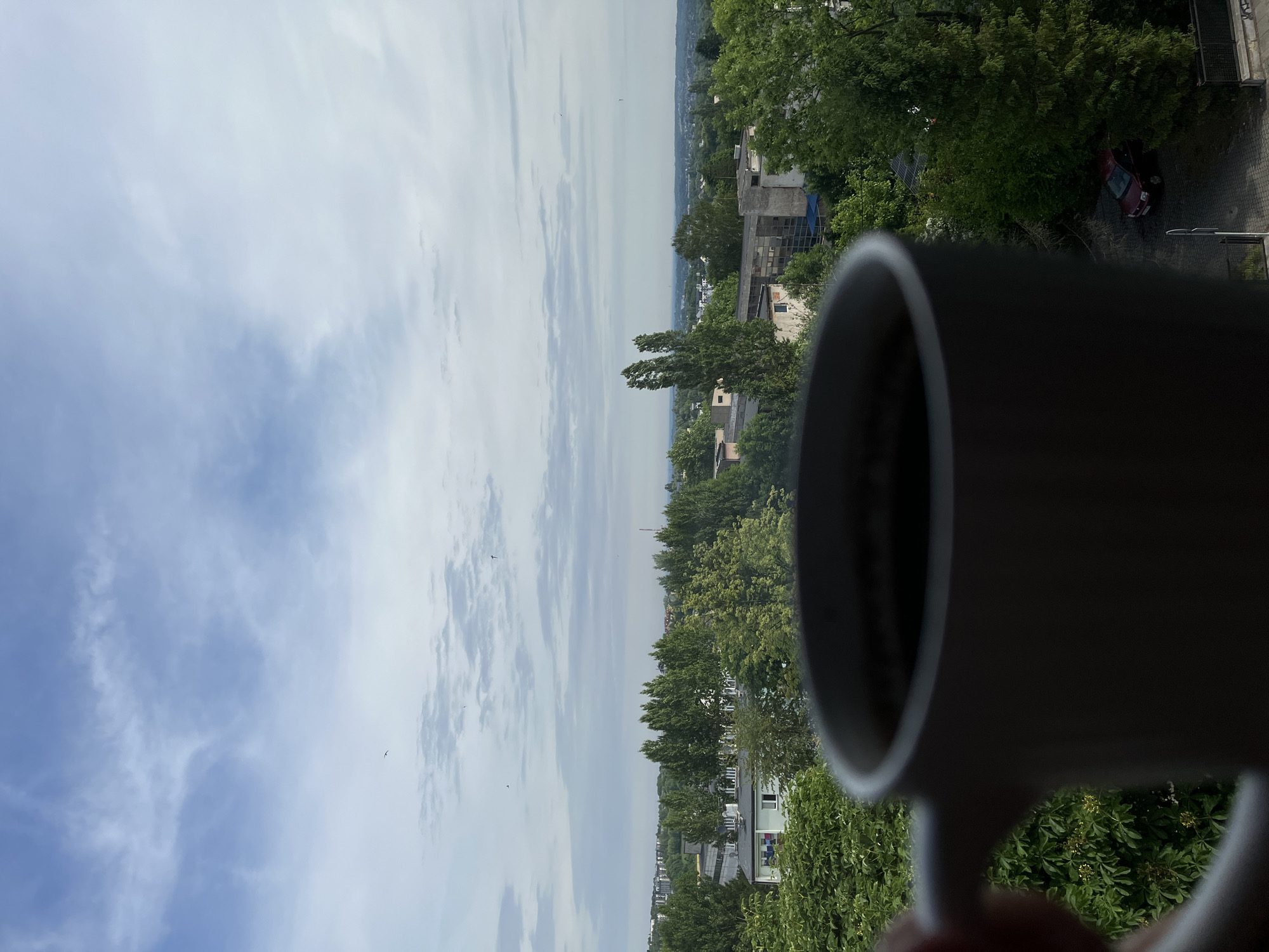 The image captures a serene outdoor scene, viewed from a high vantage point, possibly a window or balcony. In the right foreground, a white mug, likely containing a dark beverage like coffee or tea, is partially visible, held by a hand. The focus then extends to a broad panoramic landscape under a partly cloudy sky, with patches of clear blue interspersed with white and grey clouds. Several small birds are seen flying in the distance.
Below the horizon, the terrain is heavily wooded with various green trees, among which several buildings are nestled, indicating an urban or suburban setting. One building appears to have large glass panels or windows. Closer to the foreground on the right, a red car is parked on a paved area, partially obscured by dense foliage. The scene suggests a tranquil daytime moment, perhaps enjoying a drink while observing the surroundings. No text is visible in the image.