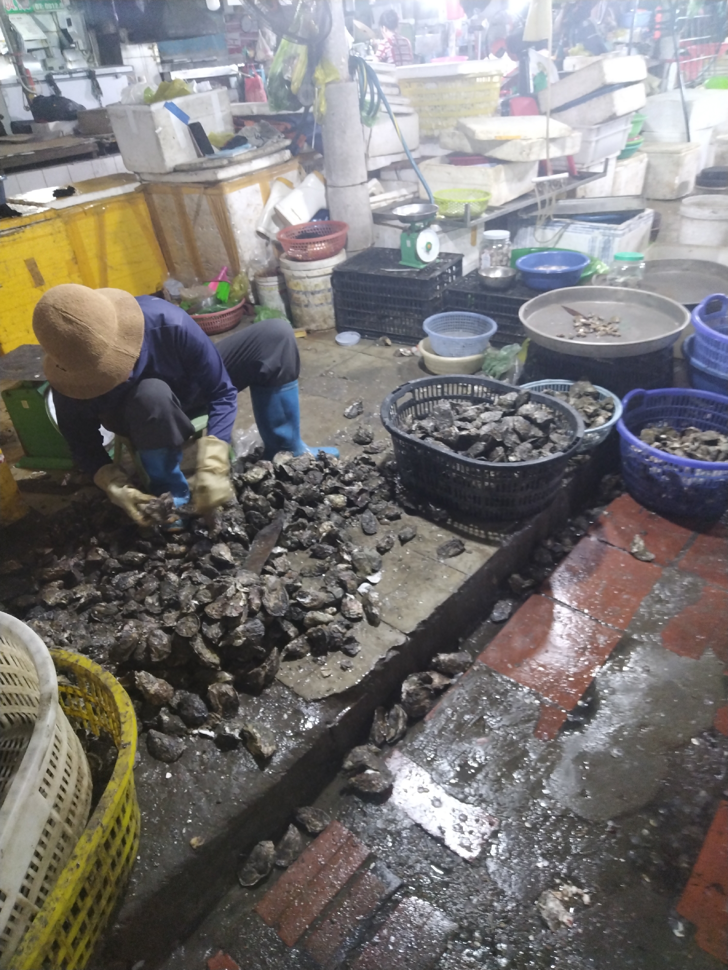 An individual in a blue shirt, dark pants, blue boots, a tan hat, and tan gloves is shucking oysters at a fish market. The individual is surrounded by a pile of oysters, baskets of oysters, and basins of oysters. The environment is wet and has concrete and brick flooring. The location is likely in Bai Chay Ward, Vietnam.