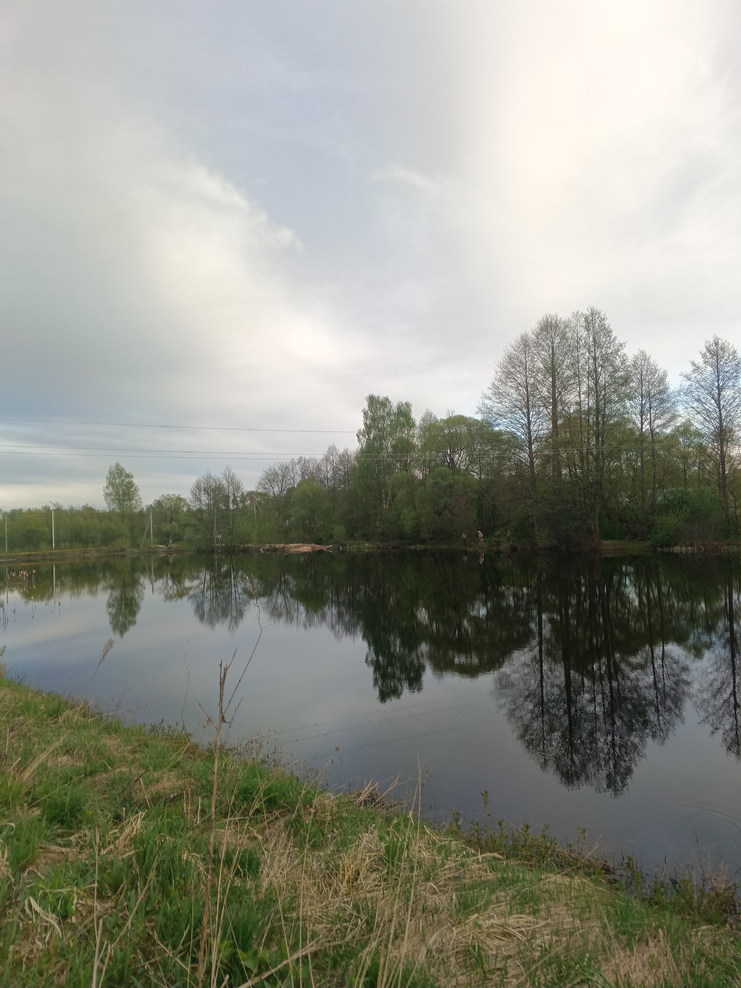 The image depicts a still body of water reflecting trees and a cloudy sky. The vegetation along the bank is a mix of grass and early spring growth. Electrical lines are visible in the distance. The location is near Красный Маяк, Russia. No people or animals are visible.