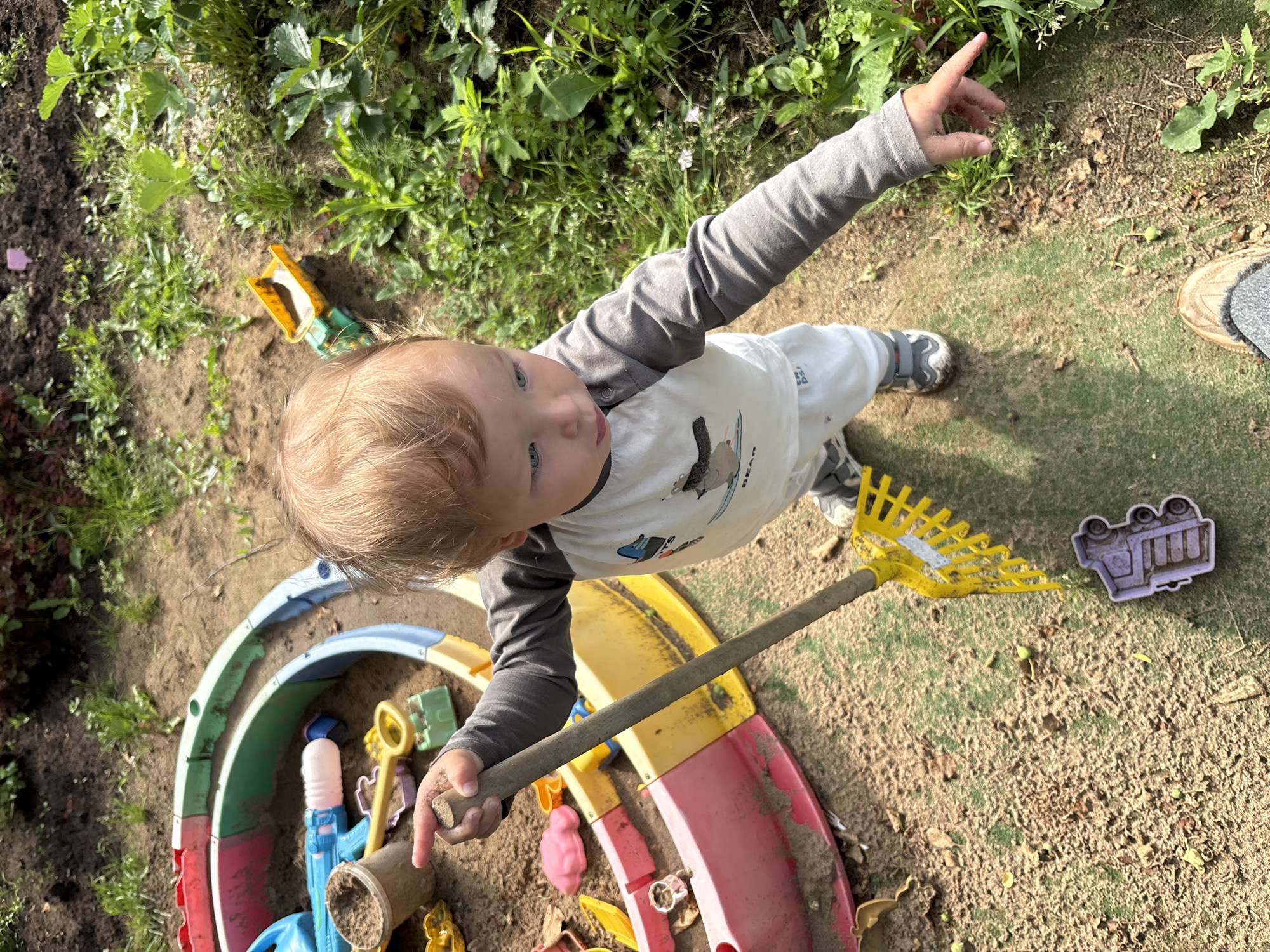 A young Caucasian child with blonde hair is standing in a sandbox, holding a yellow plastic rake. The child is wearing a long-sleeved grey and white shirt and white pants, and grey and white sneakers. The sandbox is a circular, segmented plastic structure with red, green, and blue sections. Inside the sandbox are various toys, including a blue plastic water gun, a sand bucket, and other colorful plastic molds. The ground around the sandbox is covered in sand, dirt, and green grass. To the right of the sandbox, there are lush green plants and some strawberry plants. In the foreground, a purple toy truck is visible on the ground. The scene appears to be an outdoor play area in a residential setting in the city of Markovo, Russia, likely a backyard. The lighting suggests it is daytime, with shadows indicating sunlight.