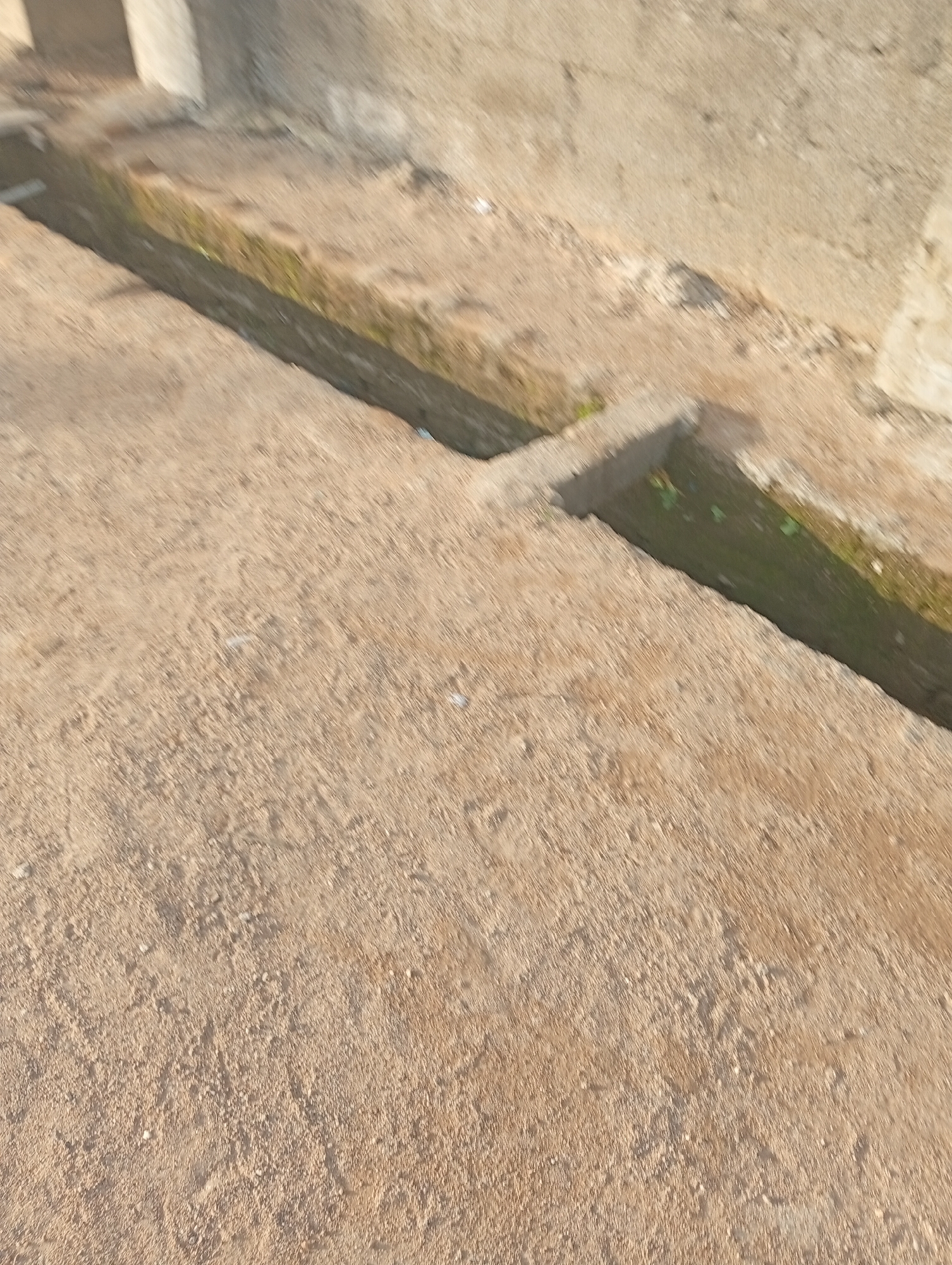 This is a medium-shot, outdoor photograph taken in Jalingo, Nigeria. The scene depicts a drainage channel with concrete edges and a sandy, rough textured ground. There appears to be a small amount of green vegetation growing within the channel, suggesting the presence of water. The overall setting seems to be an unpaved or undeveloped area, possibly a street or pathway. The lighting suggests it is daytime, with the sun casting shadows. There is no text visible in the image, and no people or specific objects are clearly identifiable. The focus is on the texture and structure of the ground and the drainage system. The image has a somewhat soft focus, making fine details difficult to discern.