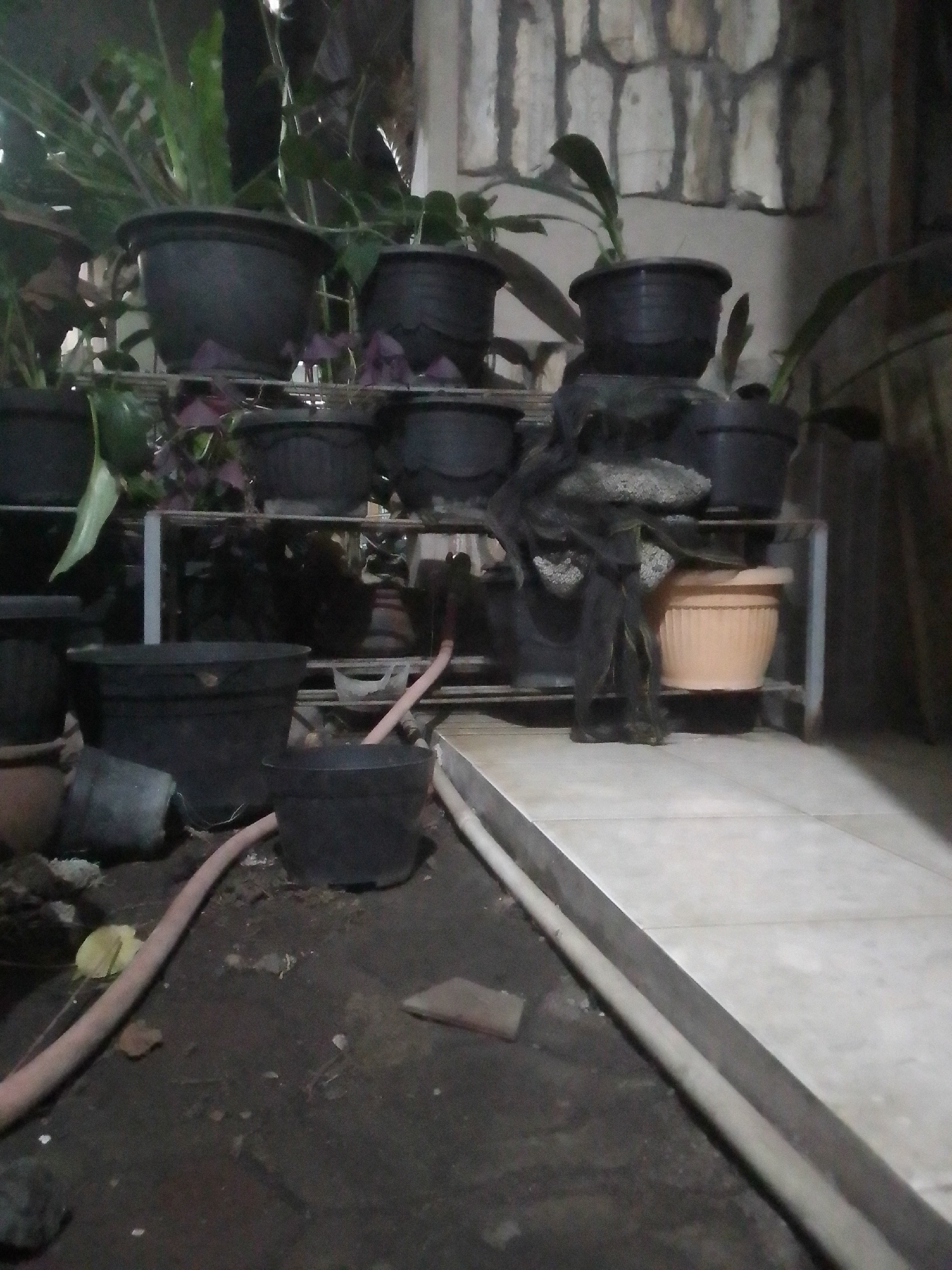 The image depicts an outdoor scene at night, likely in Sukamanah, Indonesia. The foreground shows dark, damp soil with scattered debris and a pinkish hose snaking across the ground. To the right, a light-colored tiled path with a raised edge is visible, suggesting a walkway or patio area. In the midground, a metal shelving unit holds multiple black plastic plant pots of varying sizes. Some pots contain greenery, while others appear empty. One larger light orange terracotta pot sits on a lower shelf. The background features a textured wall constructed of rough-hewn stones or bricks. The overall impression is one of a dimly lit, possibly neglected outdoor space.
