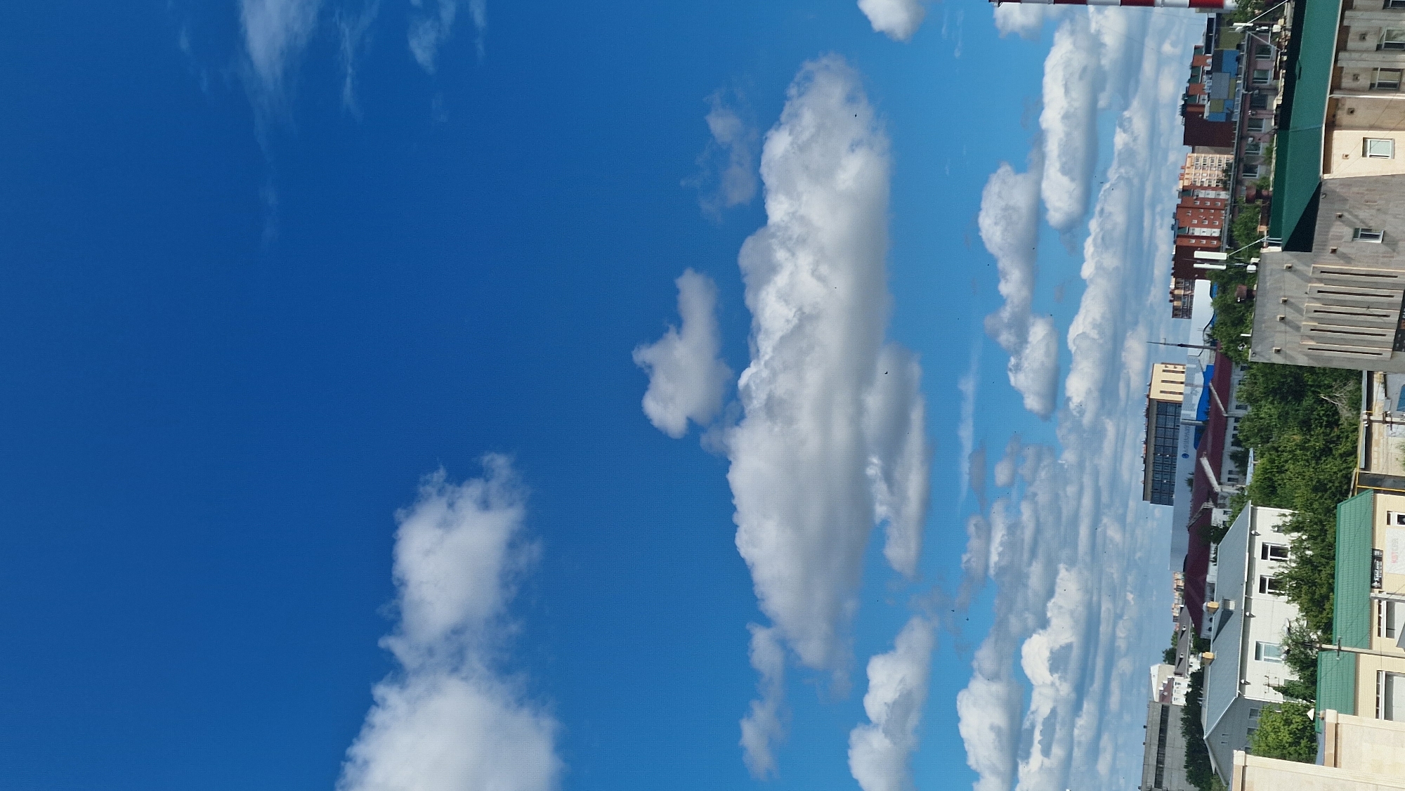 A daytime, full-frame, vertical, eye-level shot captures a cityscape in Kostanay, Kazakhstan, under a bright blue sky dotted with white cumulus clouds. In the foreground, the top of a cream-colored building with vertical grooves is visible, along with a green-roofed structure. Beyond this, a cluster of residential buildings with red and grey roofs, interspersed with lush green trees, forms the middle ground. Further back, a modern, multi-story building with a blue sign and glass facade stands out, along with other brick apartment buildings of varying heights and colors. A red and white striped industrial smokestack is partially visible on the far right. Several small dark specks, likely birds, are scattered throughout the sky and above the buildings. The overall scene depicts a typical urban environment on a clear day.