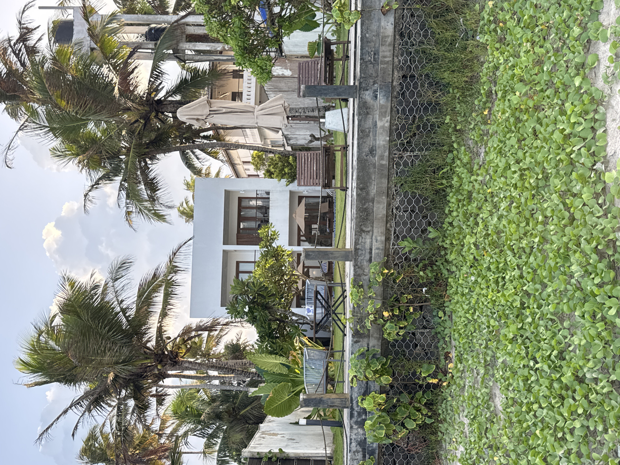 The image depicts a modern white hotel building with multiple stories, situated in Kathaluwa, Sri Lanka. The hotel is surrounded by lush palm trees, some of which bear coconuts, and other tropical vegetation. In front of the hotel, there is a paved area with outdoor seating, including two wooden lounge chairs and a small table with two chairs. A large, folded beige umbrella stands in the center of the seating area. The hotel is bordered by a low wall and a metal mesh fence. Beyond the fence, the ground is covered with sand and low-lying green plants. The sky is partly cloudy, with the sun casting a warm light on the scene.