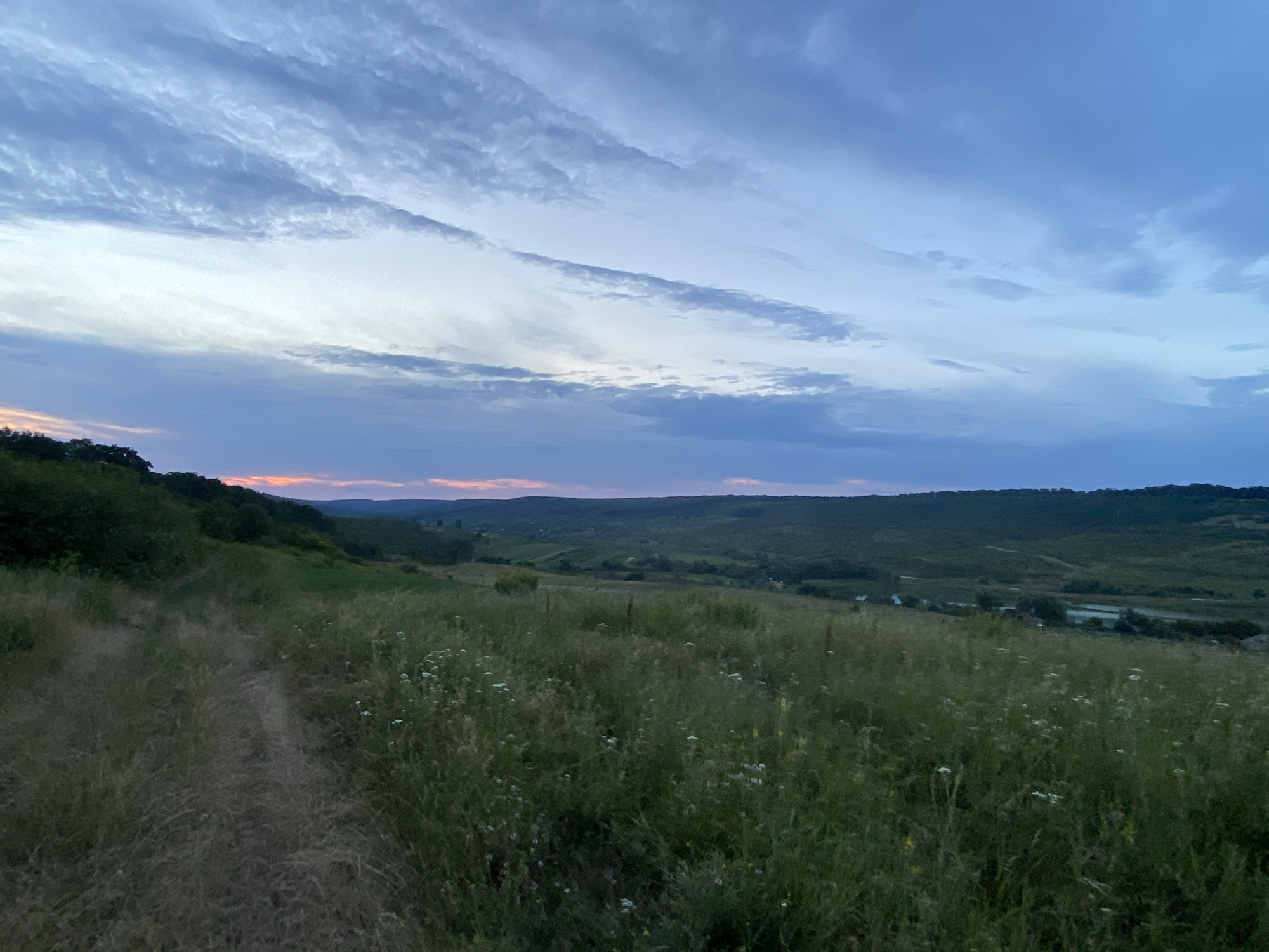 An outdoor, horizontal, wide-angle, natural landscape photograph captures a grassy hillside at dusk. The foreground features a narrow dirt path winding through tall, dry grass interspersed with small white wildflowers. The midground is a rolling green hill covered in lush grass and scattered trees, with some buildings and a body of water visible in the distance. The background consists of a dark, undulating treeline against a twilight sky painted with hues of blue, gray, and soft orange. The image appears to be taken from a vantage point on a hill looking down into a valley. The location is identified as the city of Horodca, Moldova.