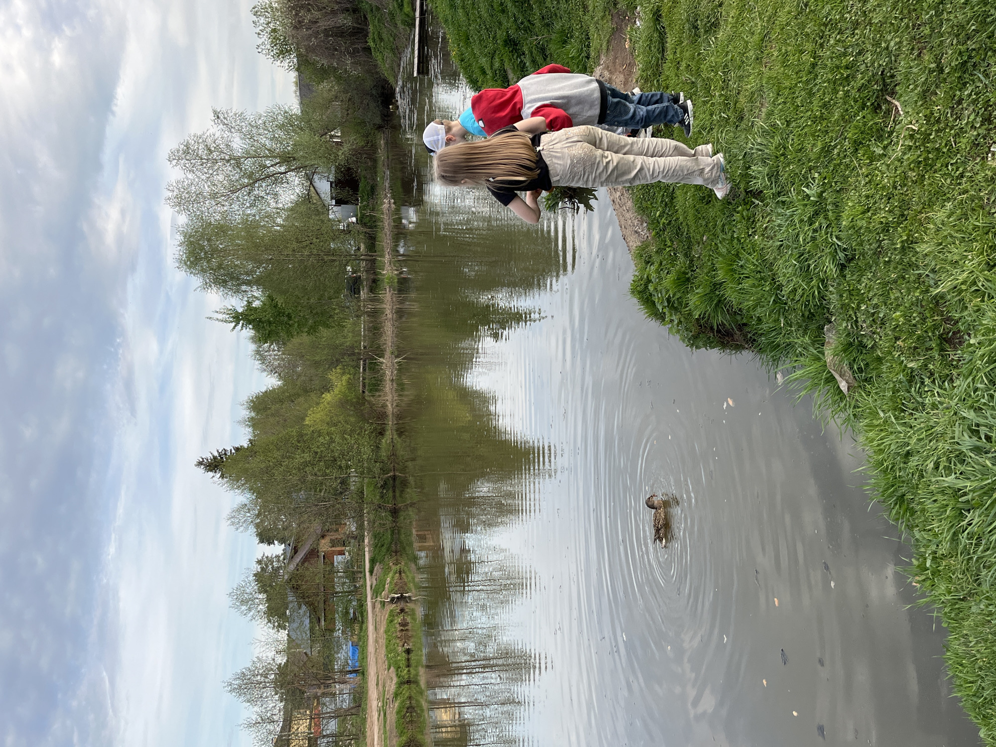 Three children are standing on a grassy bank next to a body of water, presumably a lake or river, in Chaikovsky, Russia. A duck is swimming in the water, creating ripples. Trees and buildings are visible on the opposite bank. The sky is cloudy.