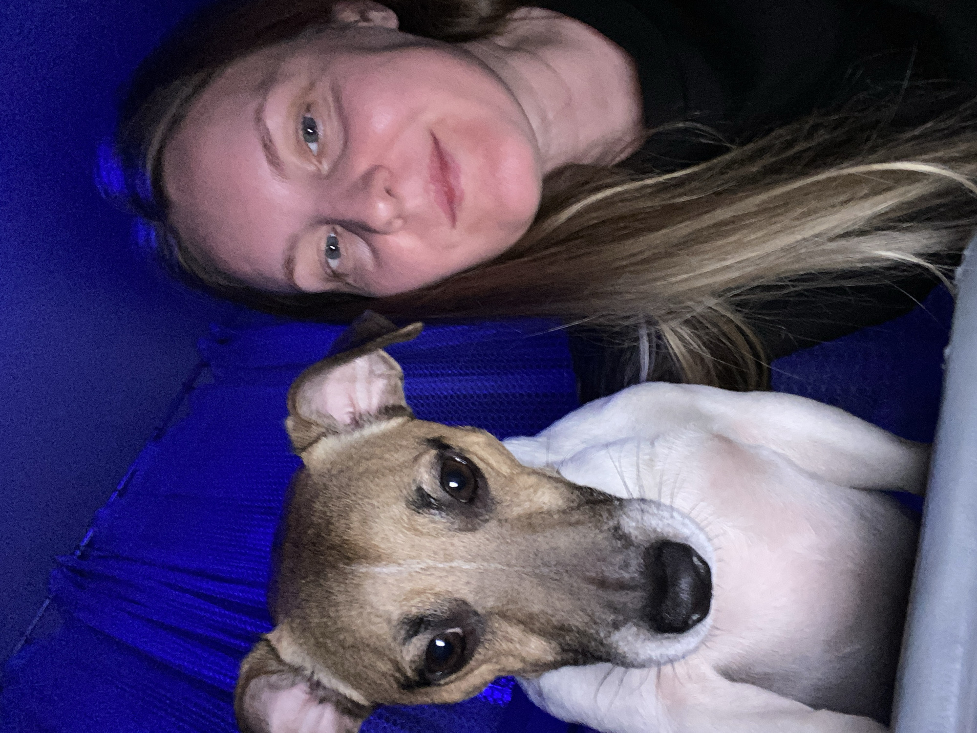 This media file presents a close-up, rotated overhead view of a woman and a dog resting together. The scene appears to be set indoors or in a confined space, with a vibrant blue, textured fabric or mesh serving as the background surface.
On the left, a woman with fair skin and long, light brown hair is visible. She is lying down, with her head oriented towards the viewer. She exhibits a gentle, subtle smile and looks directly at the camera with clear eyes, conveying a sense of contentment or affection. She is wearing a dark, possibly black, top or garment.
Beside the woman, on the right side of the frame, lies a dog. The dog is brown and white, resembling a terrier breed, and is also resting. Its head is turned towards the viewer, featuring dark, expressive eyes and a black nose. The dog's expression is calm and attentive.
The lighting is soft and ambient, suggesting an indoor setting without direct sunlight. There are no notable objects other than the subjects and the blue background, along with a glimpse of a light gray or white material near the dog's right side. The overall mood of the image is peaceful and intimate, capturing a quiet moment of companionship between the woman and her pet. No visible text is present in the image. The provided location context is Noviy, Russia.