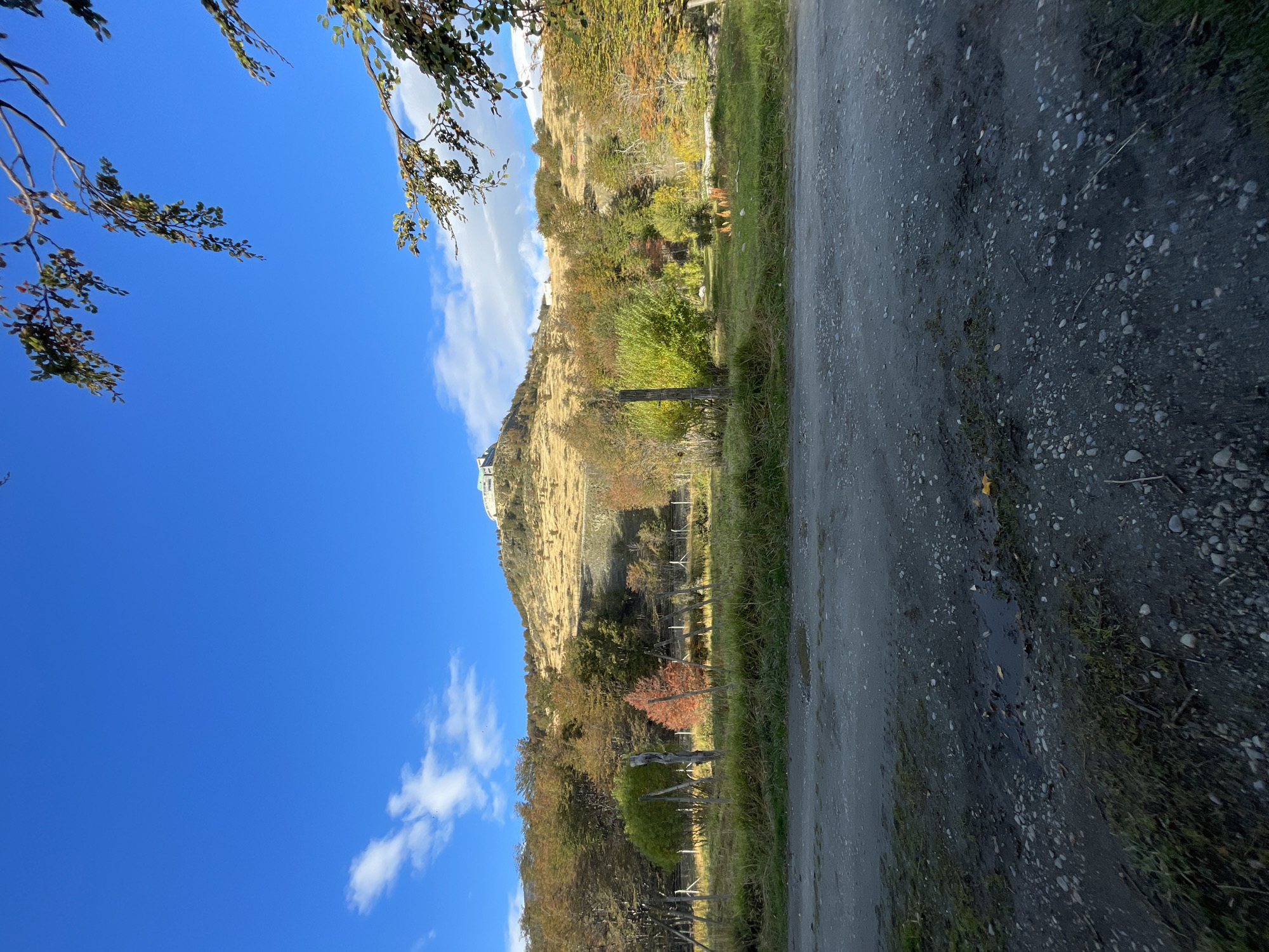 The image depicts a road in Ushuaia, Argentina, adjacent to a grassy hill. The sky is clear blue with scattered clouds. A building is visible atop the hill. Branches of a tree are in the foreground.