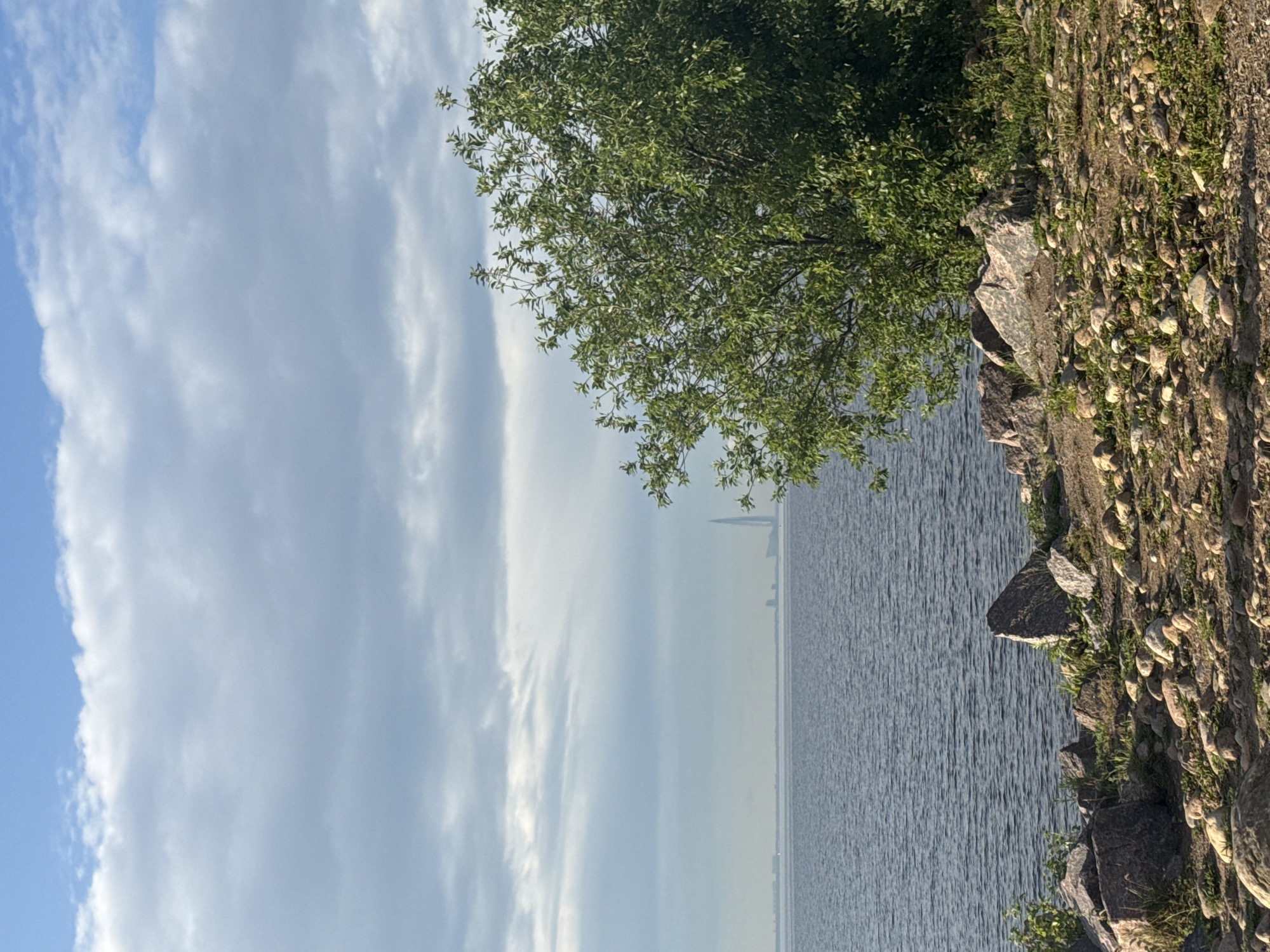 An eye-level, medium shot captures a waterfront scene under a cloudy sky. The foreground is a rocky, earthy area with scattered stones and sparse green vegetation. To the right, a portion of a leafy green tree is visible. Beyond the shore, a large body of water stretches to the horizon. In the far distance, a distinct skyscraper with a pointed top is silhouetted against the hazy sky, along with other distant buildings and what appears to be a ship. The water is calm, with a rippled surface reflecting the muted light of the overcast sky. The overall impression is one of a slightly overcast day at a coastal location with urban structures on the distant horizon.