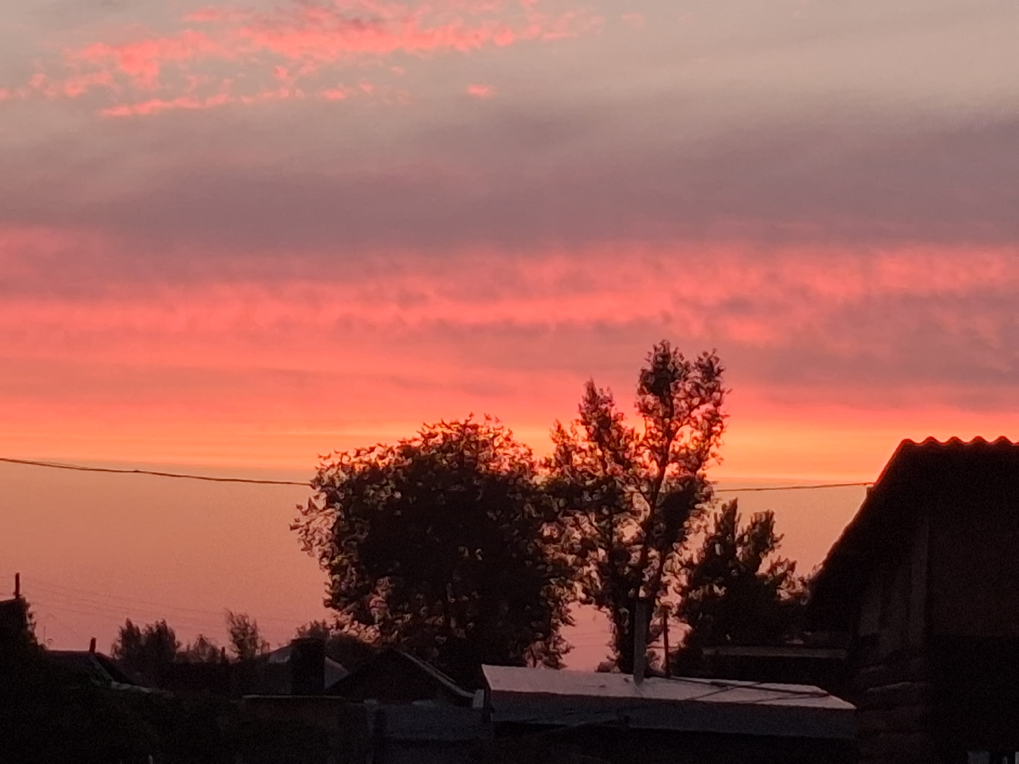 The image depicts a sunset over a residential area in Semey, Kazakhstan. The sky is filled with vibrant hues of pink and orange, with wispy clouds stretching horizontally across the frame. Silhouetted against the colorful sky are the dark shapes of trees and rooftops of houses. A power line is visible stretching across the middle ground. The overall impression is one of a peaceful, rural evening.