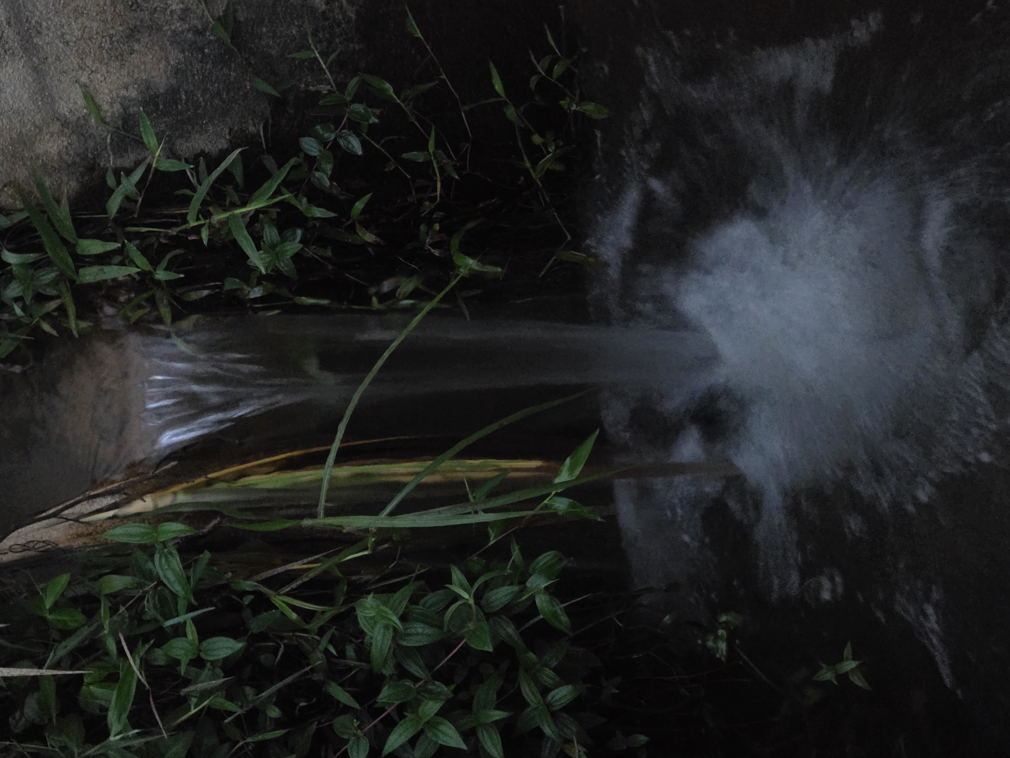 In an outdoor, dimly lit environment, a small waterfall cascades into a dark pool. The water flows from a concrete structure, and lush green foliage, likely vines and grasses, grows along the sides of the structure and spills over the edge, partially obscuring the water's source. The water creates a foamy splash as it hits the pool. The overall scene suggests a natural or semi-natural setting, possibly a drainage outlet or a decorative water feature within a garden or park, with no people or specific landmarks to indicate an exact location in Unknown, Indonesia.