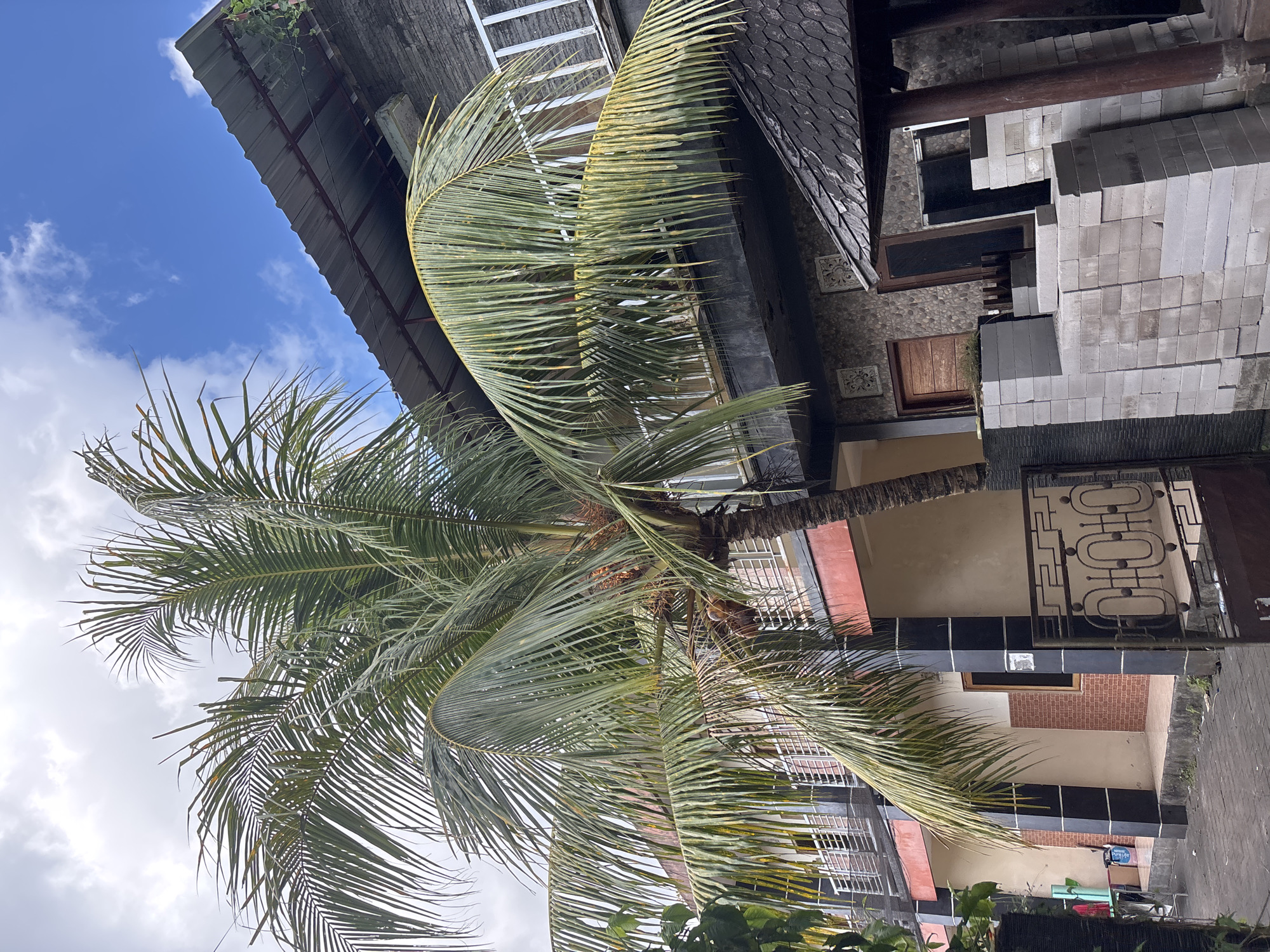 This media file captures an outdoor scene in Kuta Selatan, Indonesia, featuring a large palm tree alongside a multi-level building under a partially cloudy sky. The image appears to be taken during the day, indicated by the bright blue sky with scattered white clouds.
A prominent palm tree dominates the left and central parts of the frame, its numerous green fronds spreading outwards. Some fronds show slight yellowing, possibly due to sun exposure or natural variation.
To the right of the palm tree stands a building with varied architectural details. The upper section features a dark, possibly tiled or shingled, roof. Below this, different parts of the building showcase various textures, including sections of stacked light-colored concrete blocks, suggesting ongoing construction or renovation. Other walls are painted in cream tones, accented with dark, possibly black, tiles and sections with reddish-brown brick patterns. A wooden door and windows are visible on different levels of the structure. An ornate black and gold metal railing is also visible on what appears to be a balcony.
There are no people or specific activities depicted in the image. The clear daylight and tropical vegetation suggest warm, pleasant weather conditions. No legible text is visible on any of the objects or structures within the frame.