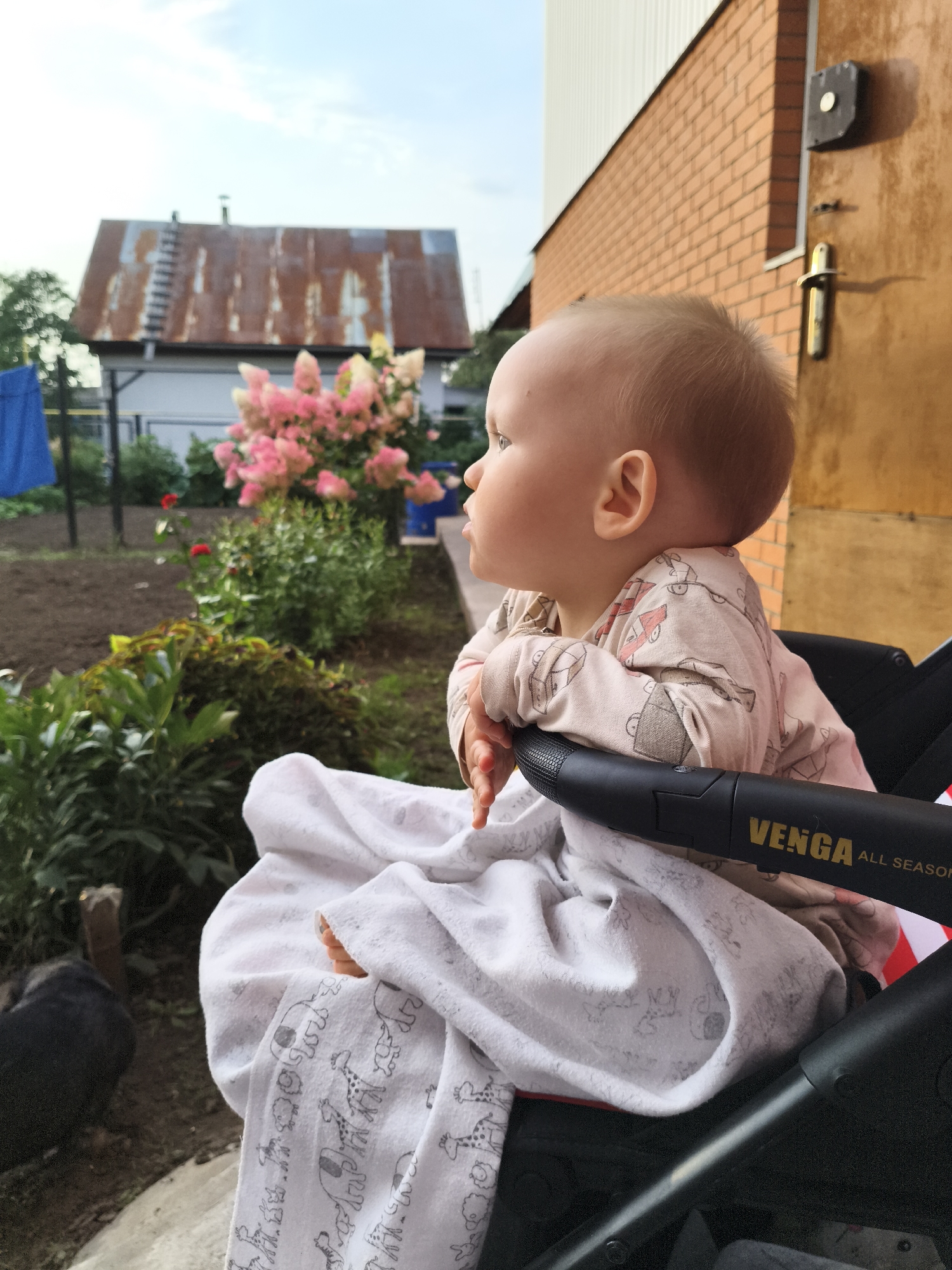A child sits in a stroller, facing right, outdoors. The child wears a light-colored onesie with a subtle pattern. A white blanket with animal prints covers the stroller's lower half. In the background, a brick building is visible to the right, and a house with a rusty metal roof and a ladder is in the distance. Pink flowers are in bloom between the house and the building. The ground appears to be dirt, with some green foliage. A black dog is partially visible on the left side of the frame. The sky is cloudy.