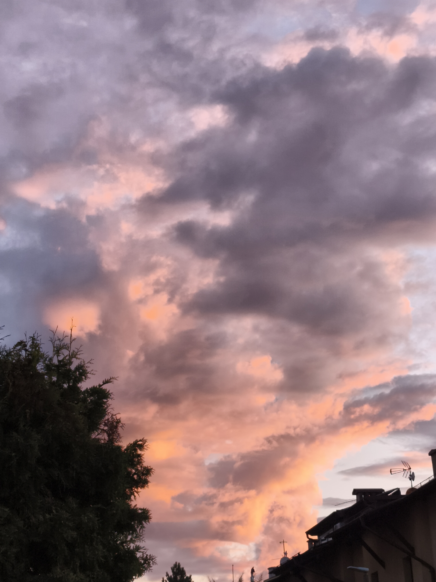 The image is a photograph of a sunset over a city. The sky is filled with dramatic clouds, colored in shades of pink, orange, and purple. A dark green tree is visible on the left side of the frame, and the rooftops of buildings with antennas are in the lower right corner. The scene appears to be an urban environment, likely during dusk. The photograph does not depict any people or specific actions. The location is not identifiable as Gdańsk, Poland, based on the visual information provided.