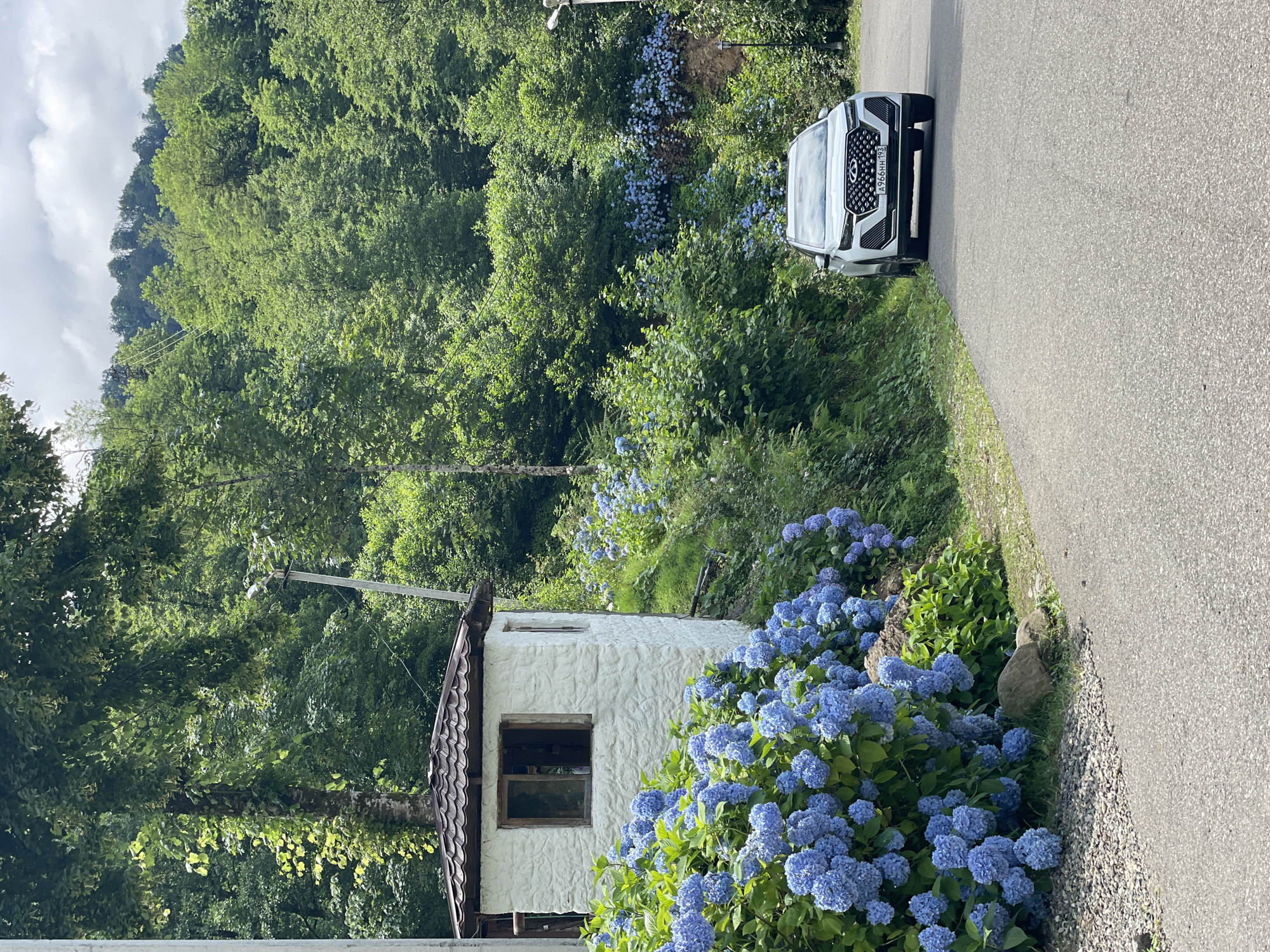 A white SUV is parked on an asphalt road in Tqwarchal, Abkhazia. To the left of the road, a small, white, stucco building with a brown, shingled roof and a window is surrounded by abundant blue hydrangeas. Behind the building and hydrangeas, a densely wooded hillside rises, covered in lush green trees. The sky is partly cloudy.
