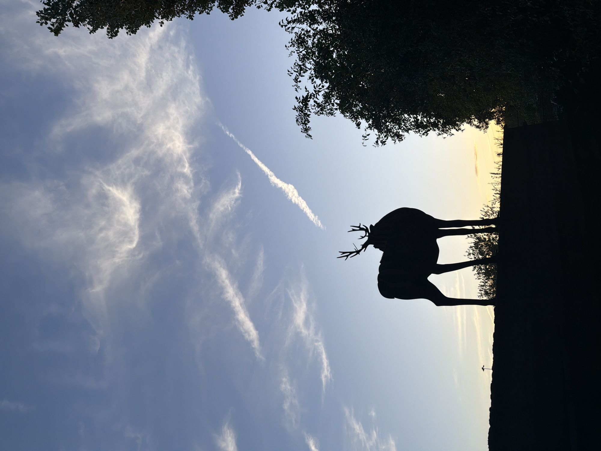 A silhouette of a deer statue stands against a twilight sky in Schifflange, Luxembourg. The deer, with prominent antlers, is positioned on a dark foreground that appears to be a raised platform or hill. Wispy white clouds streak across the gradient of blue sky, transitioning to a pale yellow hue near the horizon, suggesting the end of the day. To the right of the deer, the dark silhouette of a large tree with dense foliage frames the scene. The overall impression is one of peacefulness and natural beauty, enhanced by the dramatic contrast of the dark silhouette against the colorful sky.