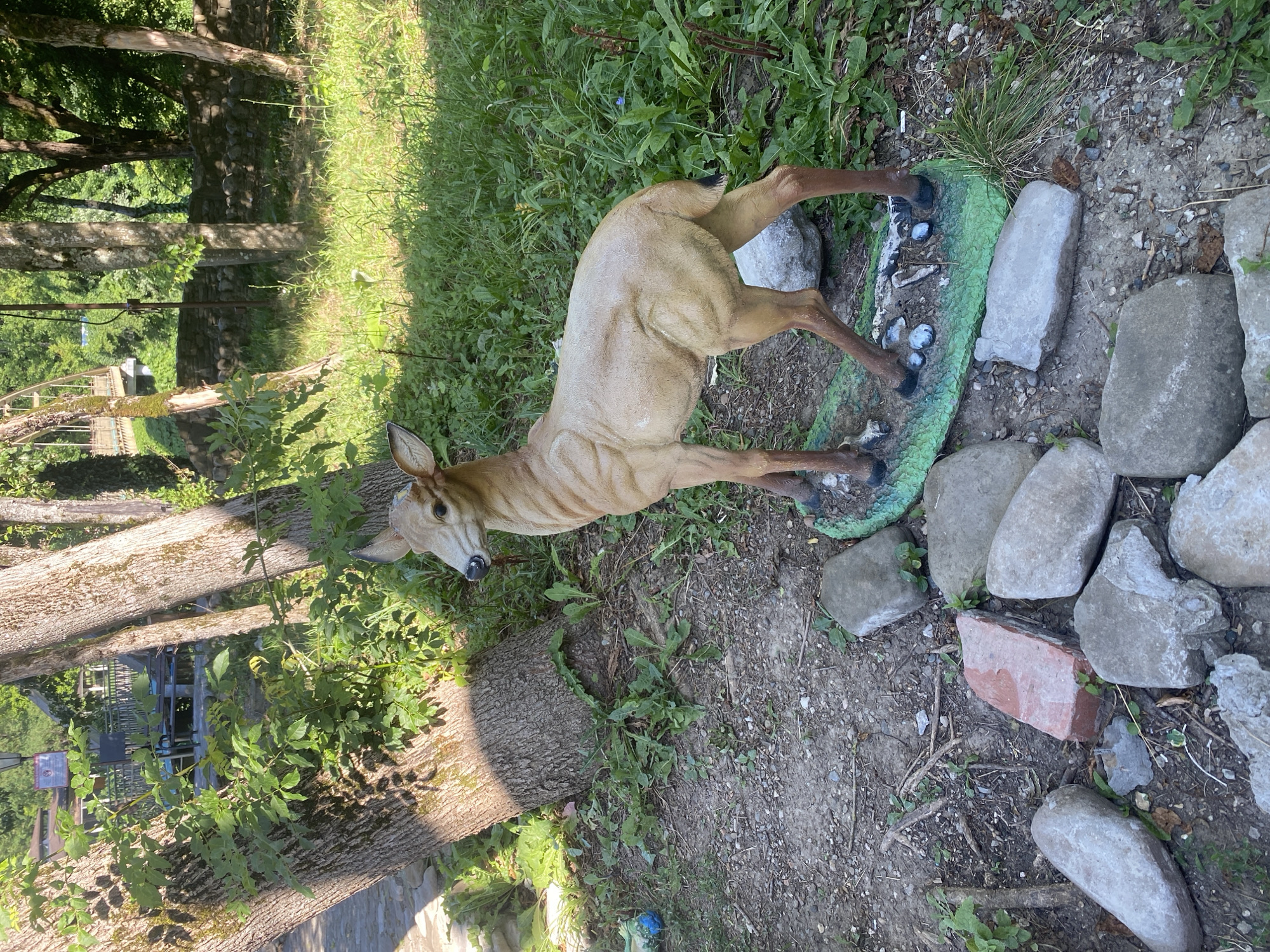 A life-size statue of a fawn stands in a grassy area next to a large tree. The fawn is light brown with darker brown accents on its legs and tail, and it is posed on a green base with small white rocks. The ground around the fawn is covered in dirt, gravel, and scattered rocks, including a red brick fragment. The background features more trees, grass, and a stone wall. In the distance, there is a glimpse of a bridge and some buildings. The image appears to have been taken in Goryachiy Klyuch, Russia, possibly in a park or garden setting, under bright sunlight. There are no people visible in the image.