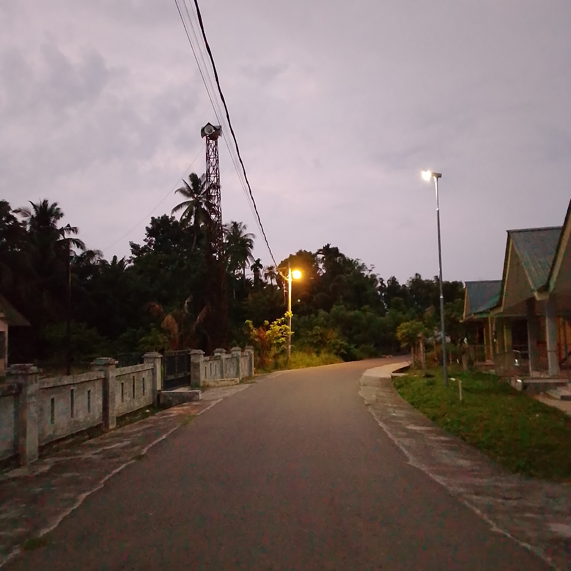 The image depicts an outdoor scene at dusk, likely in a rural or suburban area. A paved road curves through the frame, flanked by a low, concrete fence with vertical openings on the left. Beyond the fence, lush green trees and palm trees are visible, with a tall, lattice-like tower with a light fixture at its top standing prominently amidst them. Further to the right, a single streetlamp with a bright, illuminated light casts a warm glow. In the background, several modern-looking houses with peaked roofs are partially visible. The sky is overcast with diffused light, suggesting the end of daylight. There are no people or animals in the image. The scene is serene and quiet, conveying a sense of twilight in a developing or established residential area.