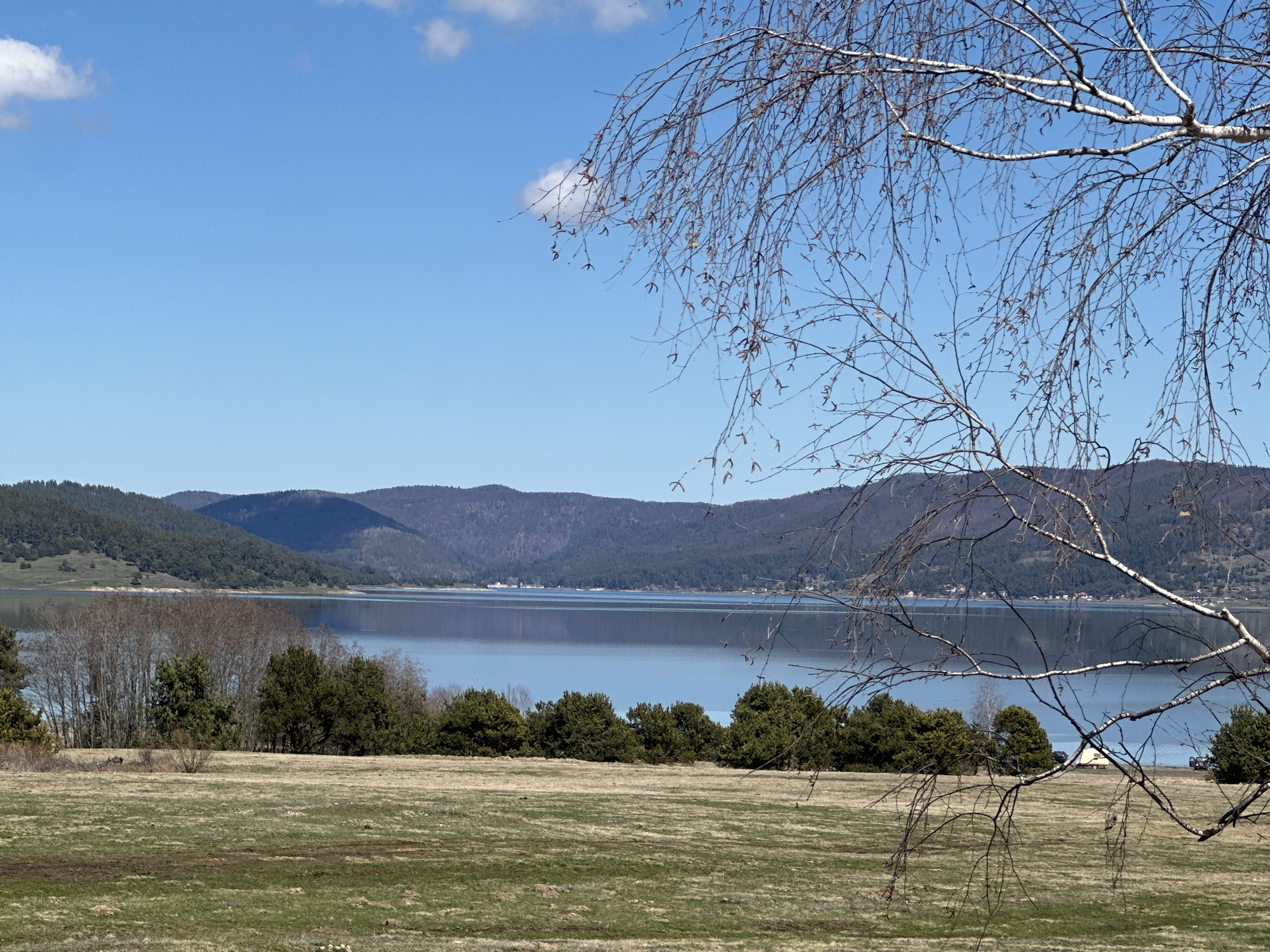 The image depicts a tranquil scene in Цигов чарк, Bulgaria. A large body of water, possibly a lake or reservoir, stretches across the middle ground, its surface reflecting the clear blue sky and distant mountains. The mountains are forested with dark green trees, creating a defined horizon. The foreground features a field of dry grass with patches of green, suggesting a transition between seasons. A line of green bushes separates the field from the water's edge. A bare tree with delicate branches is prominent on the right side of the image, framing the view. A few clouds are visible in the upper left corner of the sky.