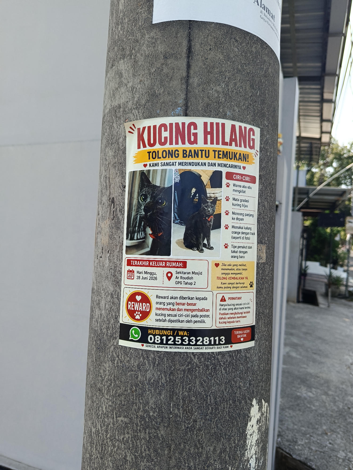 This is a photograph of a "lost cat" poster attached to a concrete utility pole in Keboananom, Indonesia. The poster, titled "KUCING HILANG" (Lost Cat), features an image of a black cat with green eyes. The text on the poster describes the cat's characteristics, the last known location it was seen, and offers a reward. The poster also provides contact information for reporting sightings. The utility pole is rough and textured, with some white paint residue on its surface. The background suggests an outdoor urban environment with a metal roof structure and some foliage visible. The lighting indicates it is daytime.