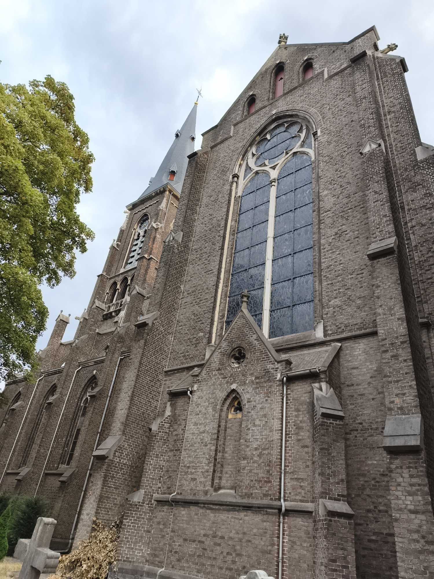 The image shows a large, gothic-style brick church building. The church has a tall, pointed spire and a large stained-glass window with intricate tracery. The facade is adorned with decorative brickwork and architectural details such as gargoyles. A large tree with green foliage is visible on the left side of the image. The sky is overcast. The image appears to have been taken from a low angle, looking up at the church. The church is located in Maastricht, Netherlands.