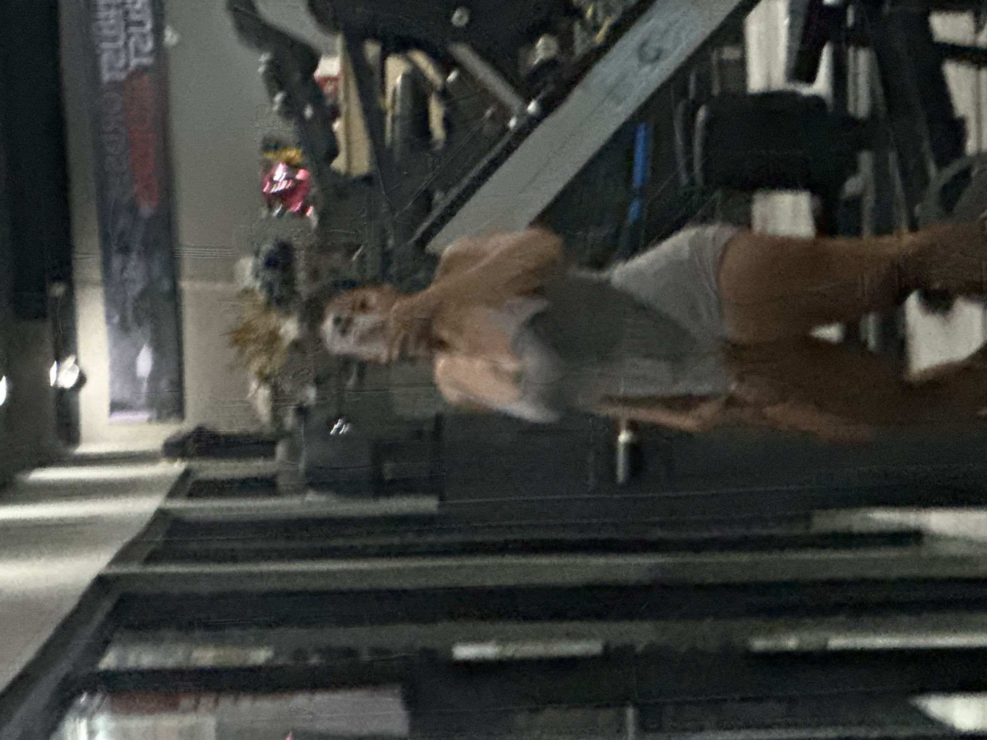 A woman in a grey tank top and grey shorts is reflected in a gym mirror. The woman is holding a phone in her right hand, likely taking a selfie. She is standing in a gym with exercise equipment visible in the background. The overall lighting is dim. The scene does not provide any specific indicators to determine its location in Sukawati, Indonesia.