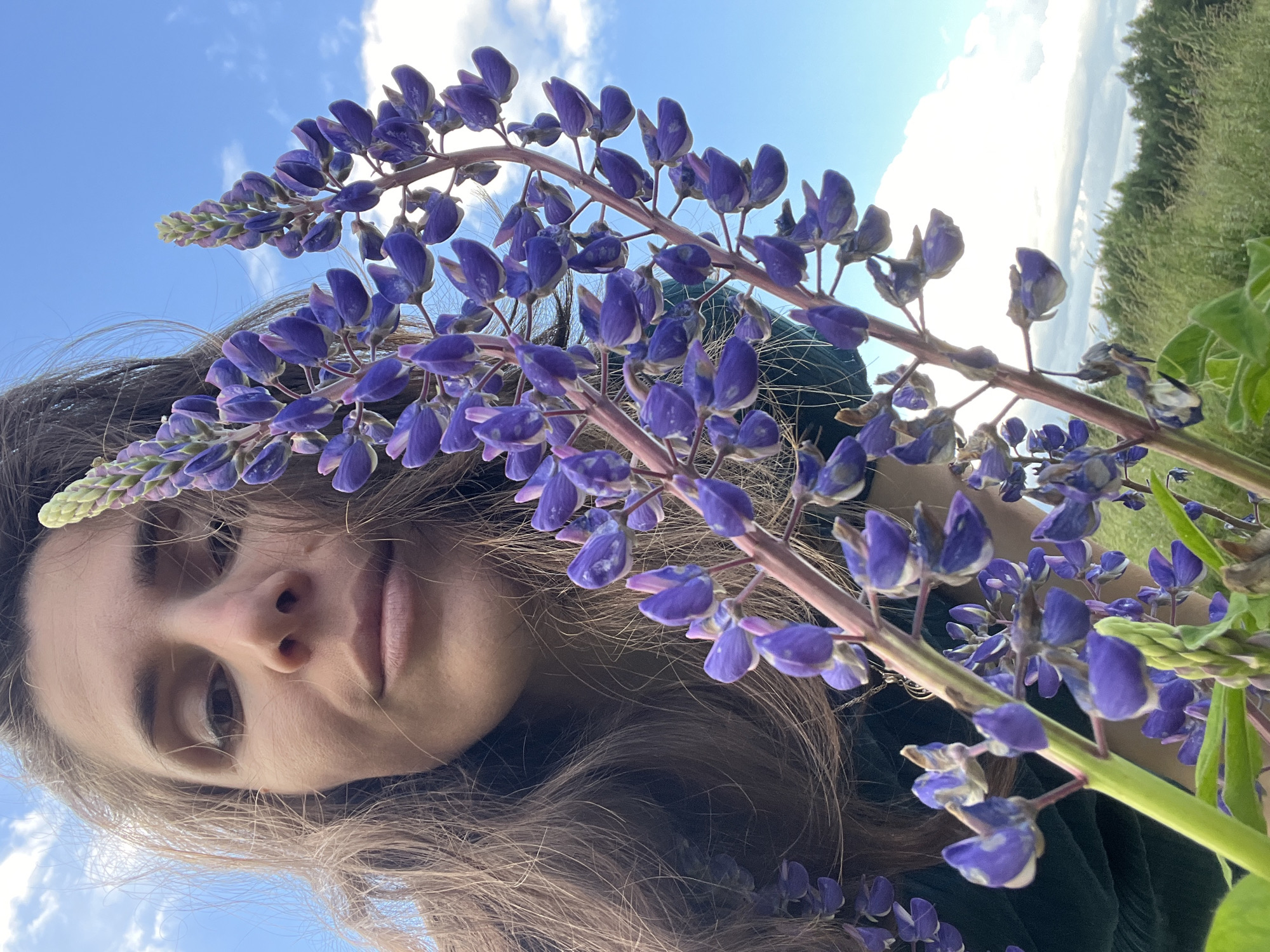 In this low-angle, close-up shot, a young person's face is partially obscured by a tall spike of purple lupine flowers. The person has long, dark brown hair that cascades around their face and shoulders. Their eyes are dark, and they appear to be looking upwards. Their lips are slightly parted, and their expression is soft and contemplative.
The background is a vibrant blue sky with scattered white clouds, suggesting a clear, bright day. The lupine flowers are in full bloom, with clusters of small, deep purple blossoms along sturdy green stems. A hint of a green field and trees can be seen in the upper right corner, indicating an outdoor, natural setting. The lighting suggests it is daytime, possibly late morning or early afternoon. The overall mood is serene and natural, evoking a sense of peace and connection with nature. There is no visible text in the image. The location context provided is Уральское, Russia.