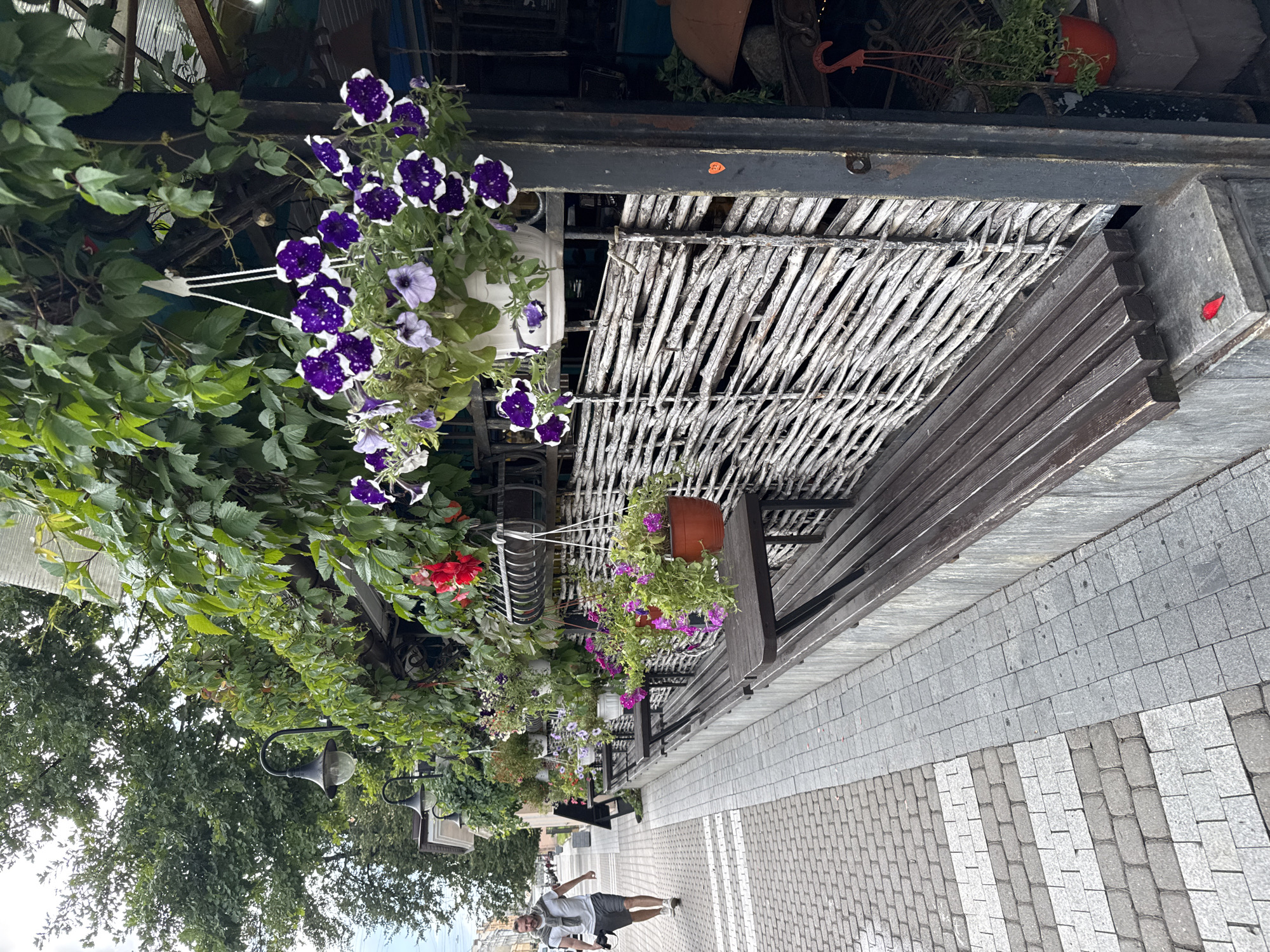 A man in a grey t-shirt and shorts walks down a sidewalk paved with grey and white bricks. He is carrying a camera. The sidewalk is next to a long, wooden bench. Behind the bench is a wall made of woven branches. Hanging plants with purple and pink flowers are suspended in front of the wall. Lampposts with black fixtures are visible along the building behind the plants. The scene appears to be an outdoor seating area for a cafe or restaurant, possibly in Saint Petersburg, Russia, given the architectural style and the presence of trees and greenery.