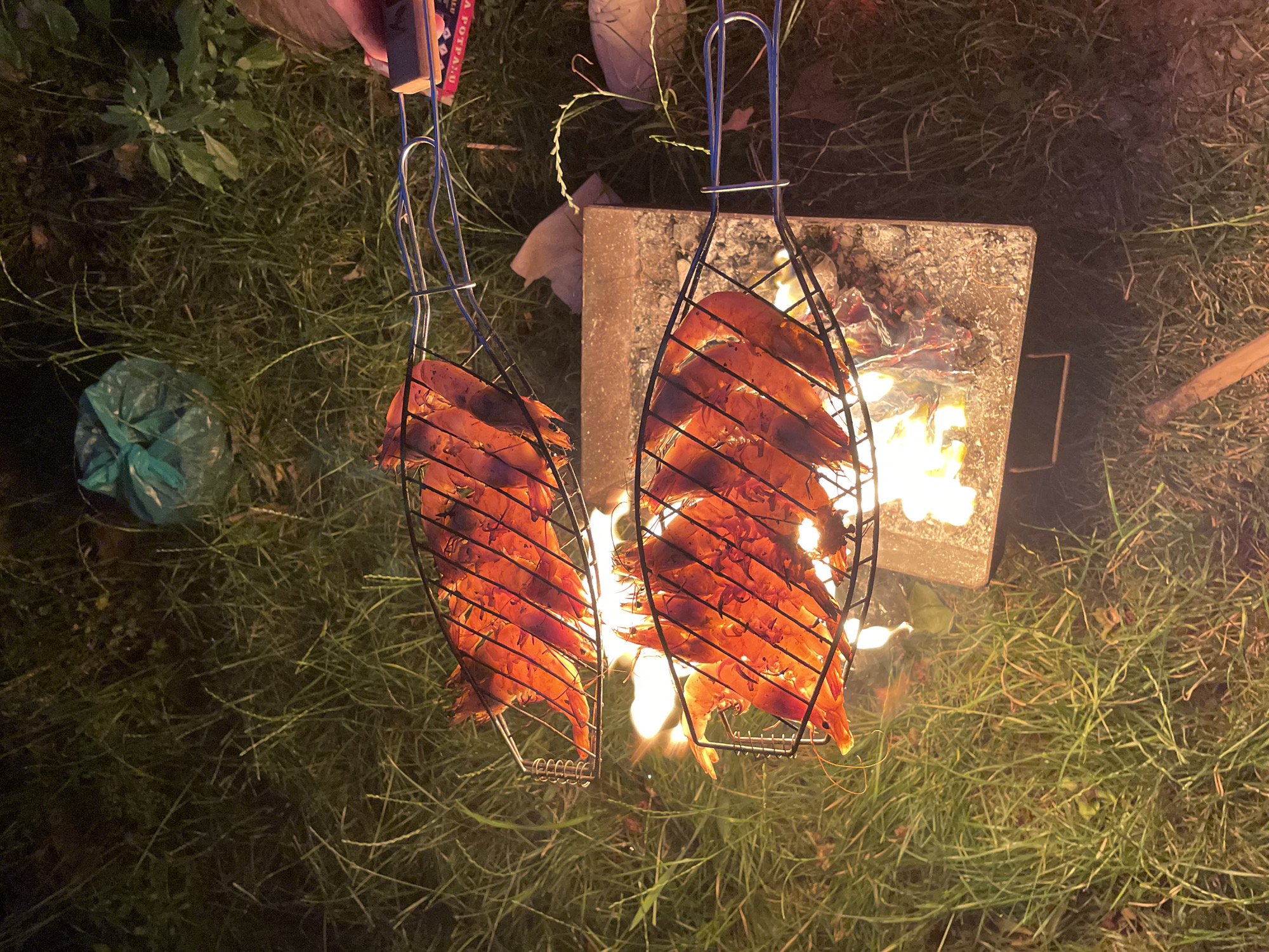 The image depicts an overhead view of shrimp being grilled outdoors at night in Bar, Montenegro. Two metal grill baskets, each containing multiple large, orange-colored shrimp or prawns, are positioned directly over a bright fire. The fire, characterized by glowing embers and vibrant flames, is contained within a square metal and stone or concrete grill structure.
A person's hand is visible at the top right, holding the wooden-handled grip of one of the grill baskets. The handle features a red and white patterned strap with partially visible text that reads "...A POTPA.RU". The intense light from the fire illuminates the cooking shrimp and the immediate surrounding ground, which is covered in green grass. To the left, a light green plastic bag is visible on the grass, along with some darker foliage. A piece of wood or a branch lies on the ground to the right of the grill. The scene suggests a relaxed evening or nighttime cooking activity, emphasizing the warmth and light of the fire against the dark outdoor setting.