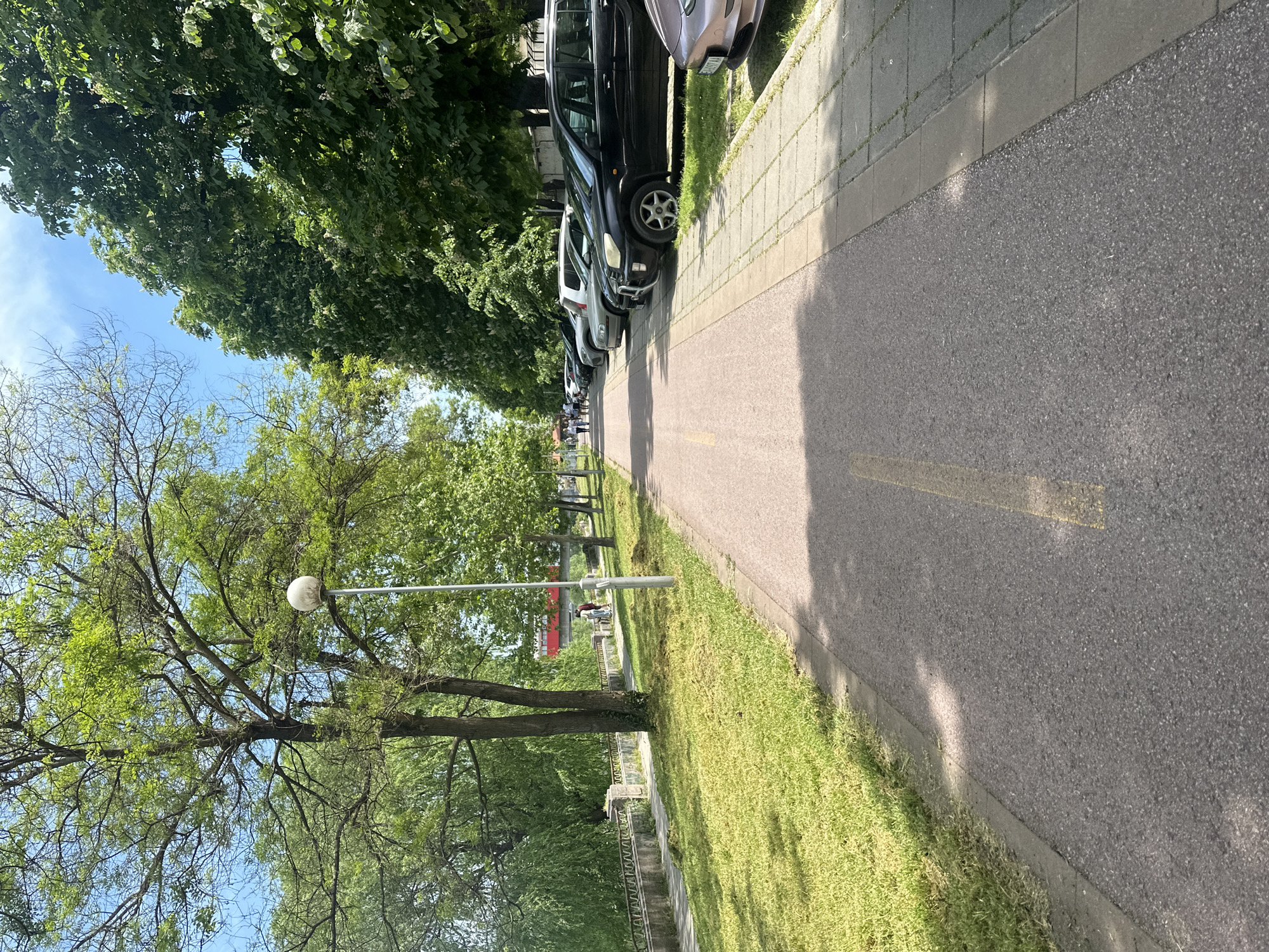 The image shows a street in Plovdiv, Bulgaria, lined with trees and parked cars. A sidewalk runs parallel to the street, with grass on the other side. A yellow line marks the center of the street. A street light is visible amidst the trees. People are seen in the distance.