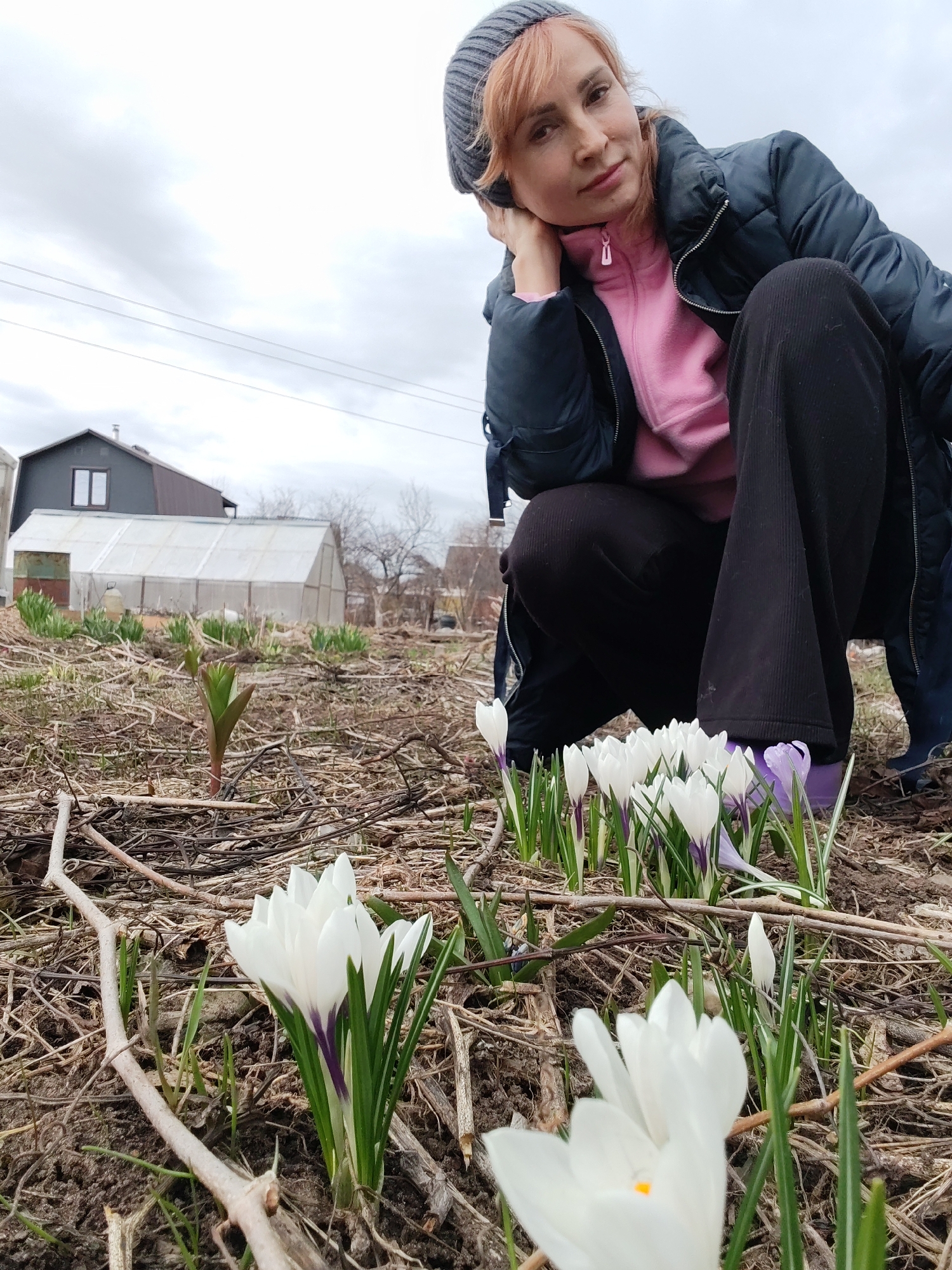 A woman squats in a garden in Chaikovsky, Russia, among white and purple crocuses. The woman wears a gray knit hat, a pink fleece jacket, a dark blue puffer coat, and black pants. Behind her, a house and greenhouse are visible. The sky is overcast.