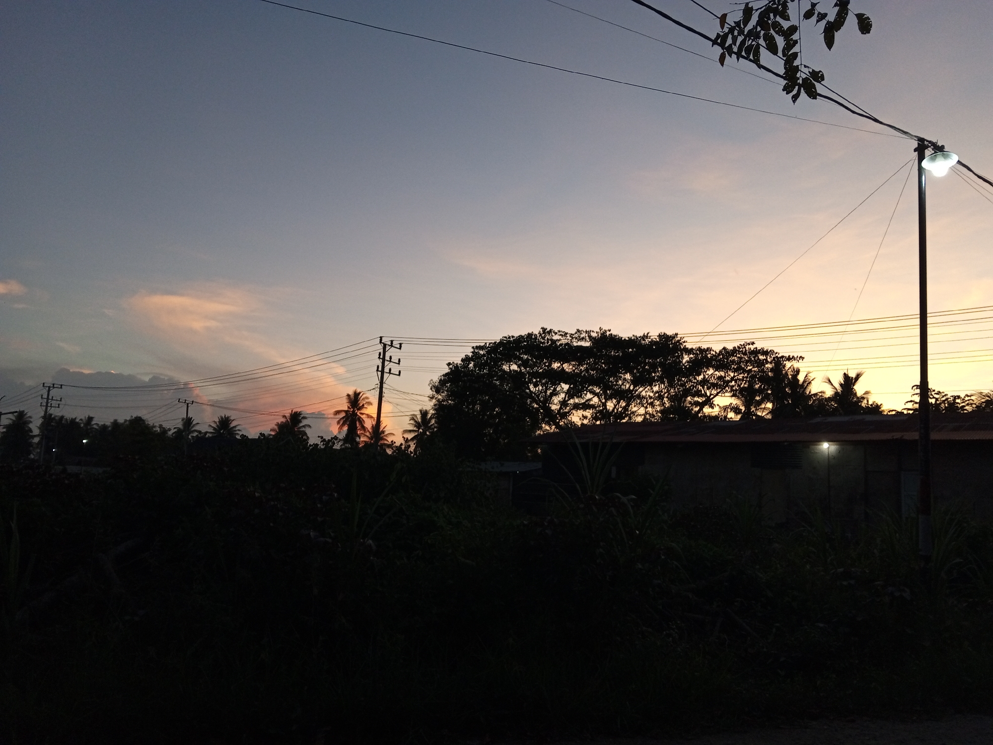 A low-angle, wide shot captures the twilight sky over Palohigeuh, Indonesia. The sky transitions from a pale blue at the top to hues of orange and pink near the horizon. Silhouetted against the colorful sky are a dense line of trees, including palm trees, and several utility poles with wires crisscrossing the frame. A single streetlamp on a pole emits a bright light in the middle right of the image. In the foreground, the scene is dominated by the dark silhouettes of thick vegetation and a portion of a building with a light emanating from one of its windows. The overall impression is one of a rural or suburban setting at dusk.