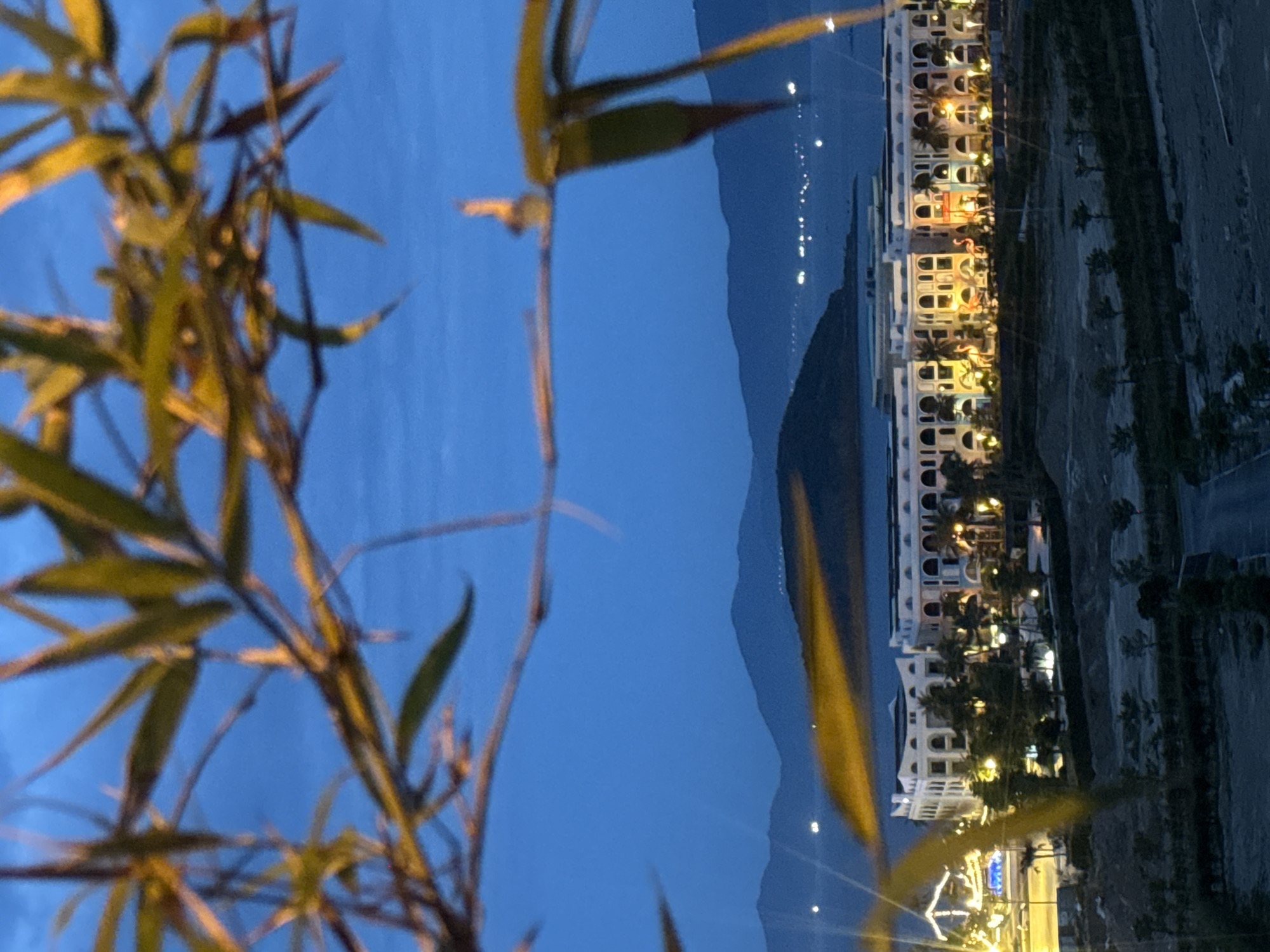An aerial shot captures the twilight ambiance of Bac Nha Trang Ward, Vietnam. In the foreground, out-of-focus bamboo leaves and branches frame the scene, their yellow-green hues catching the fading light. Beyond them, a sprawling resort complex with white architecture and illuminated windows stretches across the landscape. The buildings feature repeating arched windows and decorative elements, hinting at a resort style. Palm trees dot the grounds, and pink flamingo statues are visible in front of one of the buildings. The resort is situated near a body of water, with distant, silhouetted mountains forming a backdrop against the deep blue twilight sky. Small lights from a town or other structures are scattered along the coastline and on the water, suggesting a coastal settlement. The overall impression is one of a serene, illuminated resort area at dusk.