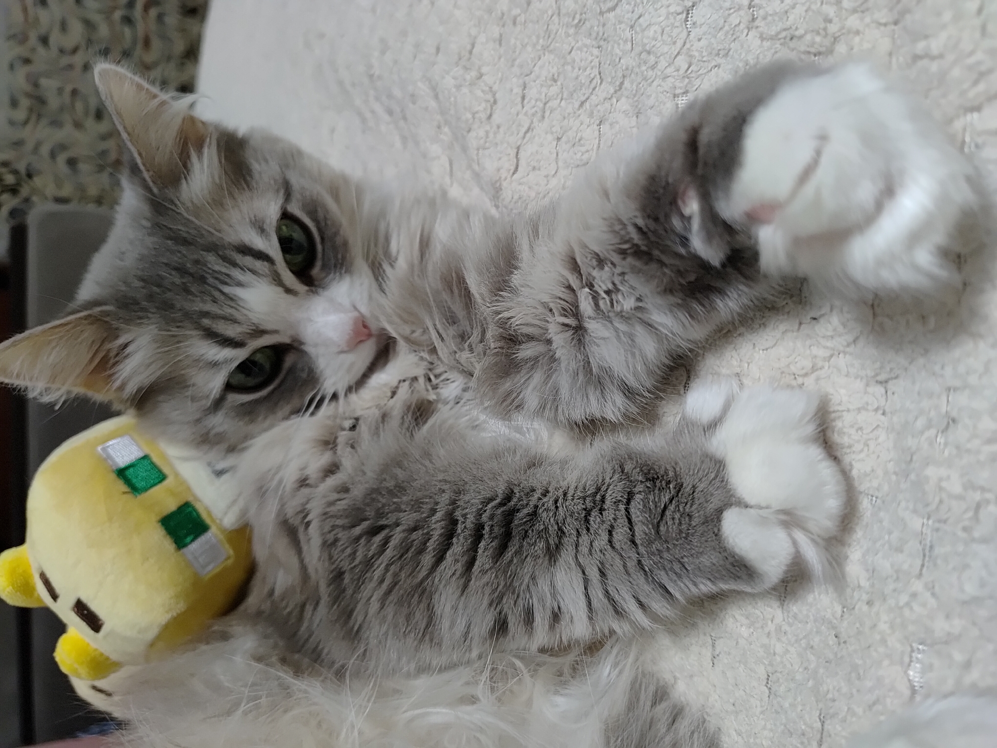 A fluffy, gray and white kitten lies on a soft, textured white surface. The kitten has green eyes and is lying on its back with its paws extended towards the viewer. In its paws, it holds a small, yellow plush toy with green and white details. The location is Марковский, Russia.