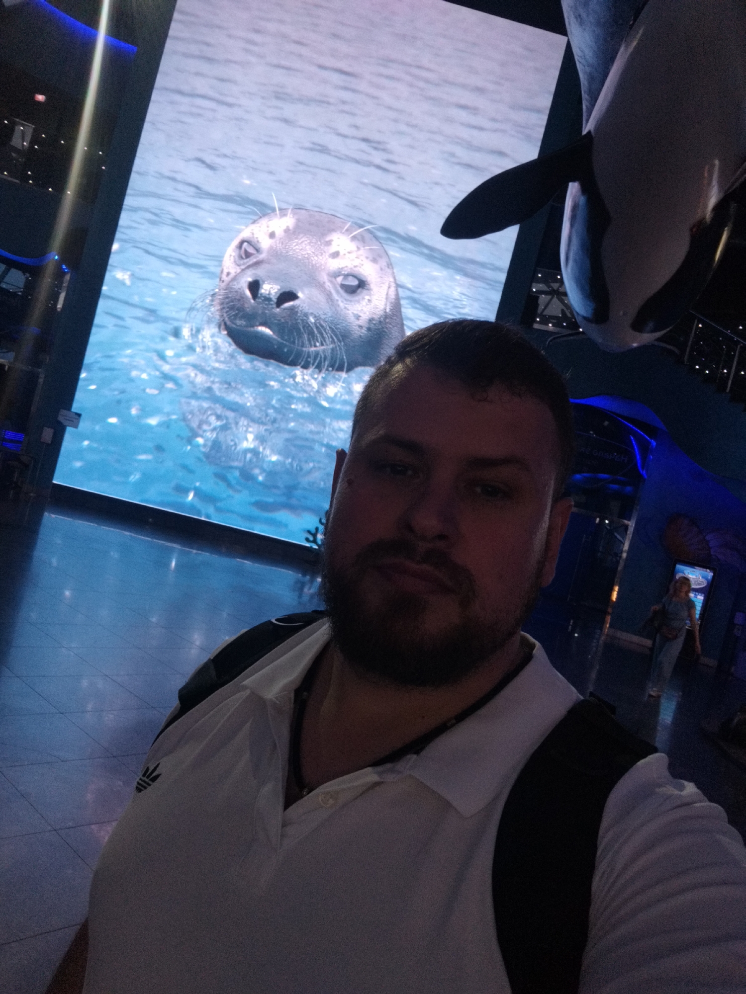 A man is taking a selfie in front of a large screen displaying a seal swimming in blue water. The screen is positioned in an indoor, dimly lit environment that appears to be an aquarium or museum, given the exhibit-like setup. In the upper right of the image, a large replica of a killer whale is visible, adding to the marine life theme. The man is wearing a white polo shirt with the Adidas logo on the sleeve and a black backpack. His expression is neutral. In the background, a woman is walking away from the camera, and there are blue lights and display panels that suggest an exhibit or attraction. The flooring is tiled and reflects the ambient light. The overall atmosphere is that of a tourist attraction. There is no visible text in the image.