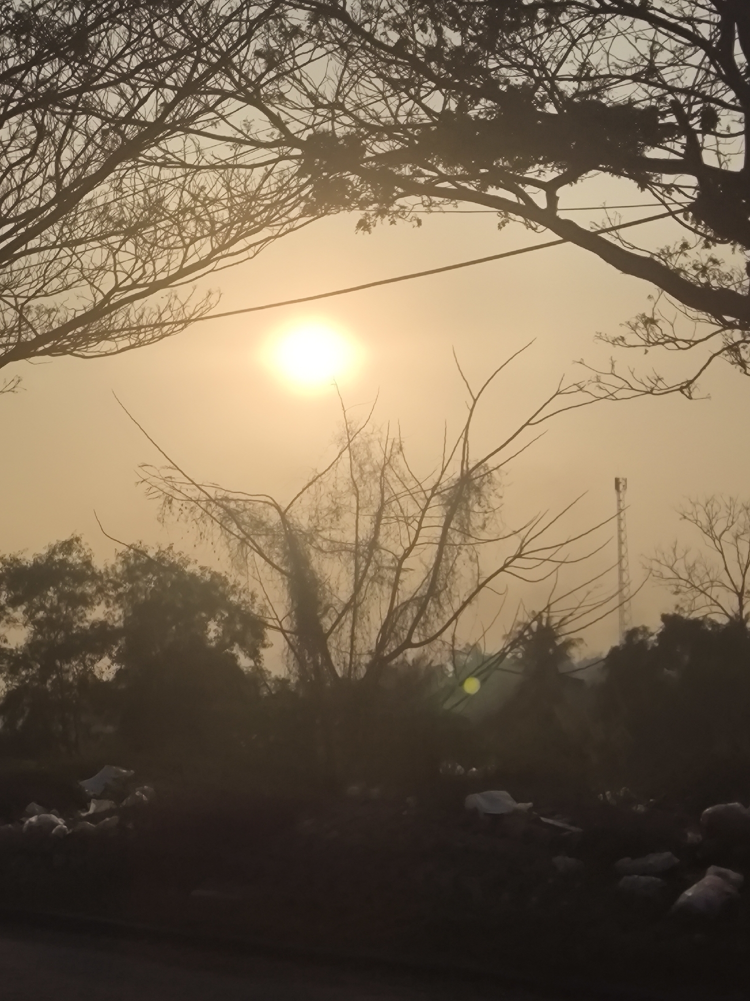 The photograph captures a hazy sunset over a rural or semi-rural area of Cilegon, Indonesia. The sun, a bright orb, is partially obscured by atmospheric conditions, casting a warm, golden glow across the scene. Silhouetted against the sky are the bare branches of trees, suggesting it might be a dry season or that the trees are deciduous. In the mid-ground, more foliage is visible, also silhouetted. A cell tower stands tall to the right of the frame, a common sight in Indonesian landscapes. The foreground is dark and appears to be a roadside, with scattered debris, possibly trash or natural detritus, faintly visible in the dim light. The overall impression is one of a tranquil, if somewhat unkempt, environment at the close of day in Cilegon.