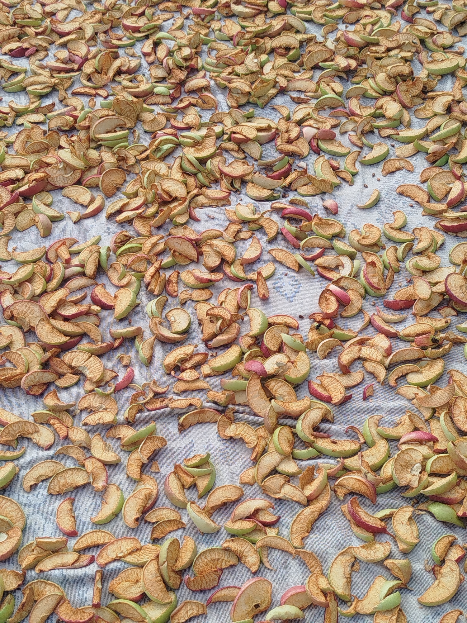The image depicts a large quantity of thinly sliced apples, dried and spread out on a patterned cloth. The apples are arranged in a dense, overlapping layer across the entire frame. The slices vary in color, with some showing shades of light brown and tan, indicating they are dried, while others retain hints of green and red from the apple skins. The cloth beneath appears to be a light blue or grey fabric with a repeating white pattern, possibly floral or geometric. The lighting suggests an outdoor setting, with shadows cast by the apple slices indicating a light source from above. There are no people or animals visible in the image. The scene is static, focusing solely on the harvested and processed apples. The location is identified as Dereviane, Ukraine.